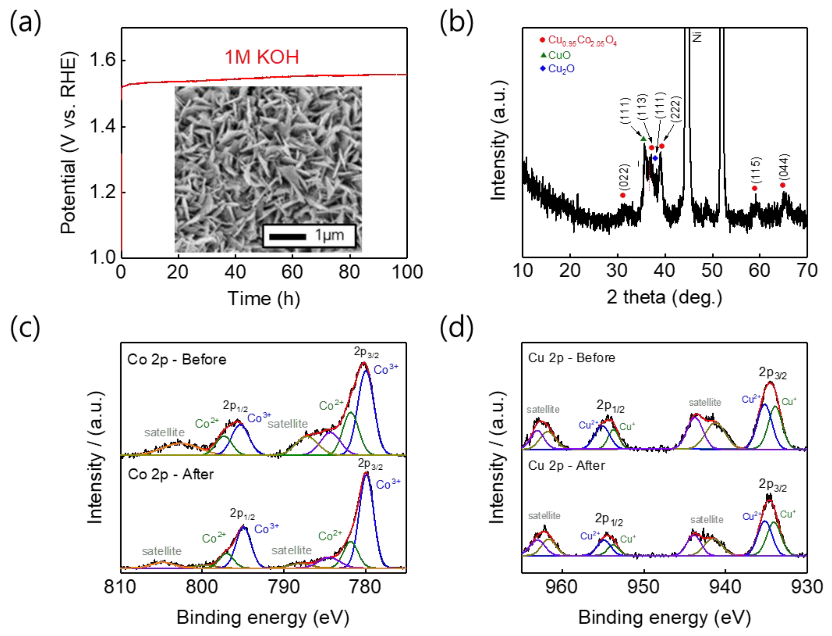 Nanomaterials 11 00657 g007 Nanomaterials 11 00657 g007