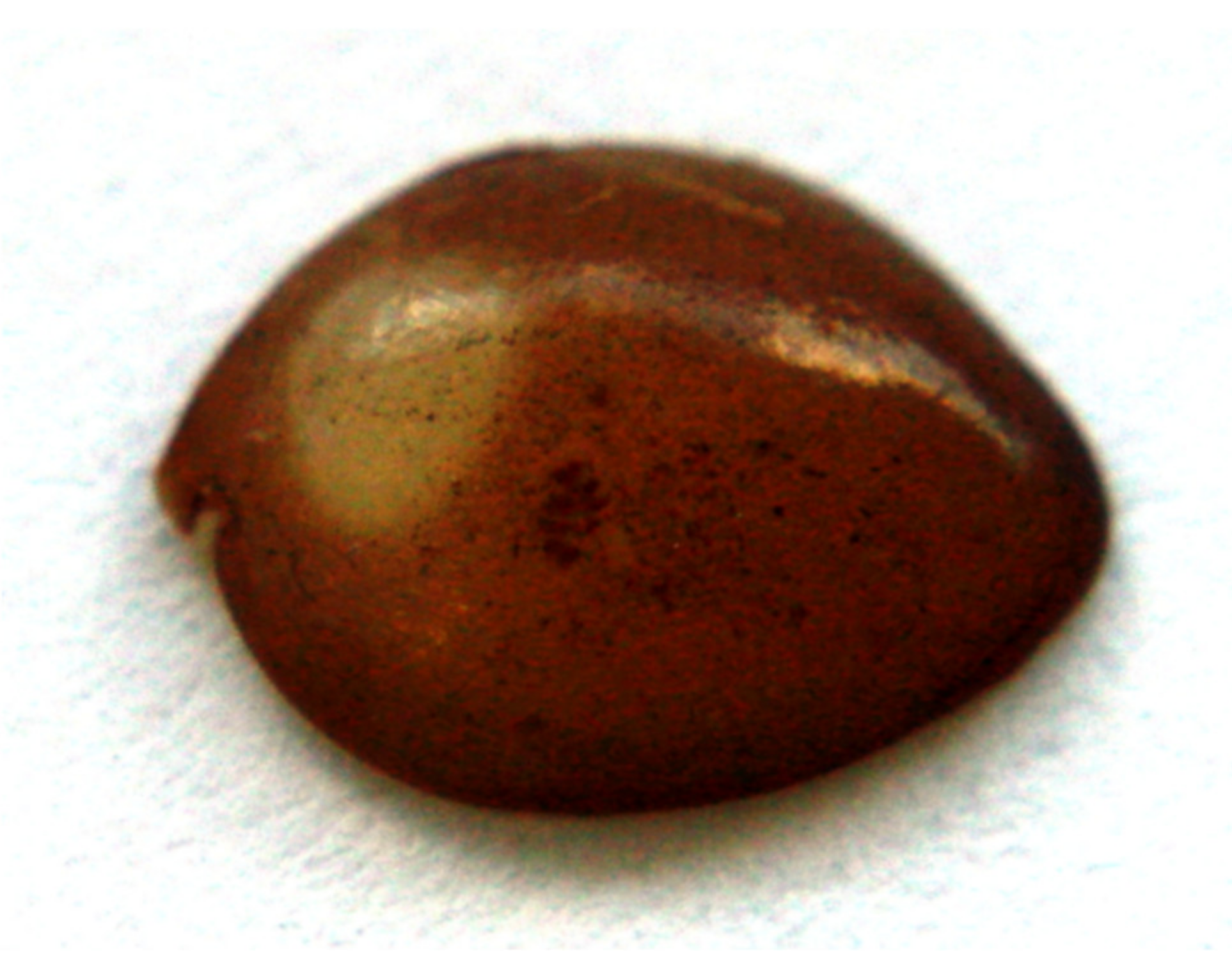 Nanomaterials 11 00663 g001