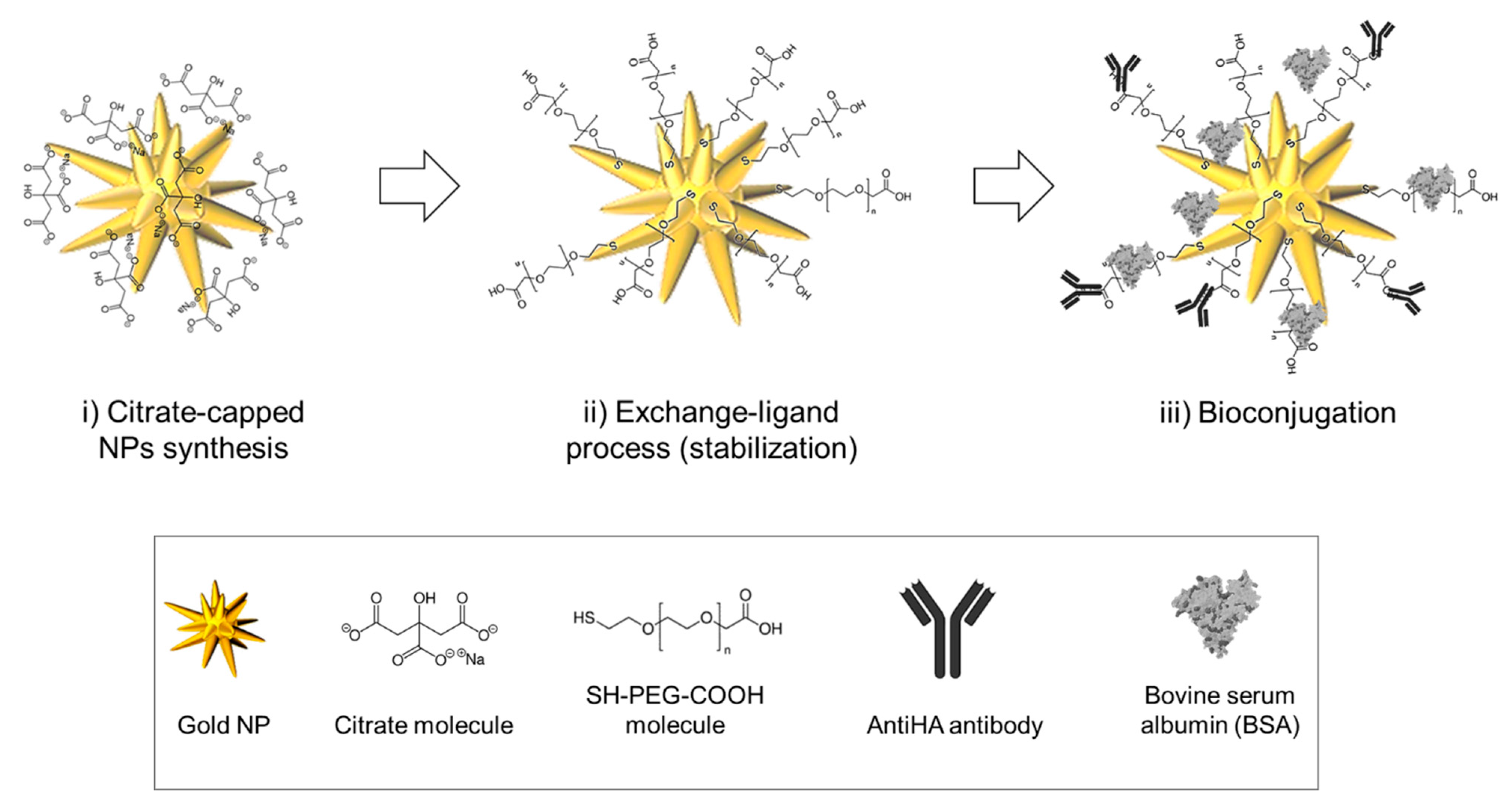 Nanomaterials 11 00665 g001 Nanomaterials 11 00665 g001