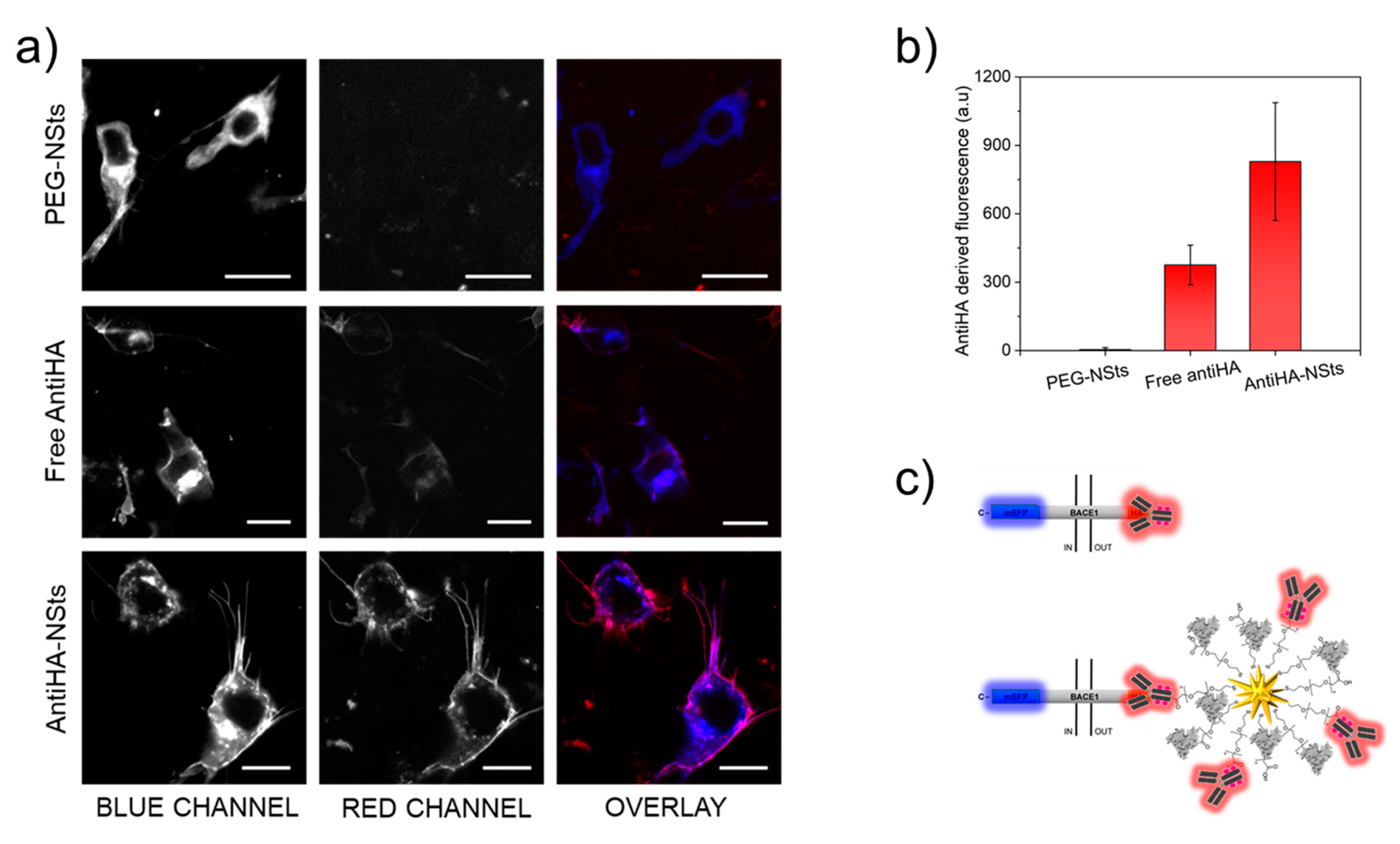 Nanomaterials 11 00665 g005 Nanomaterials 11 00665 g005