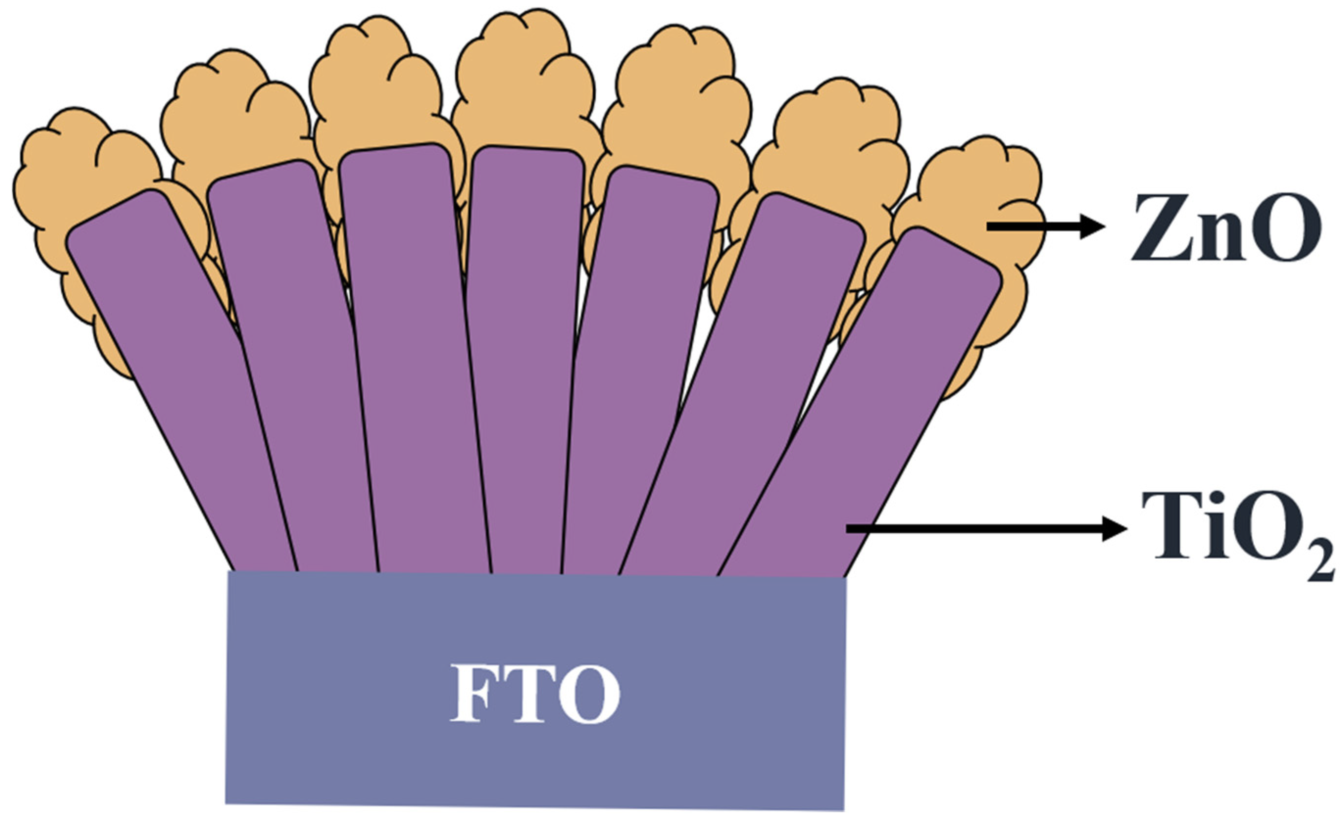Nanomaterials 11 00667 g001