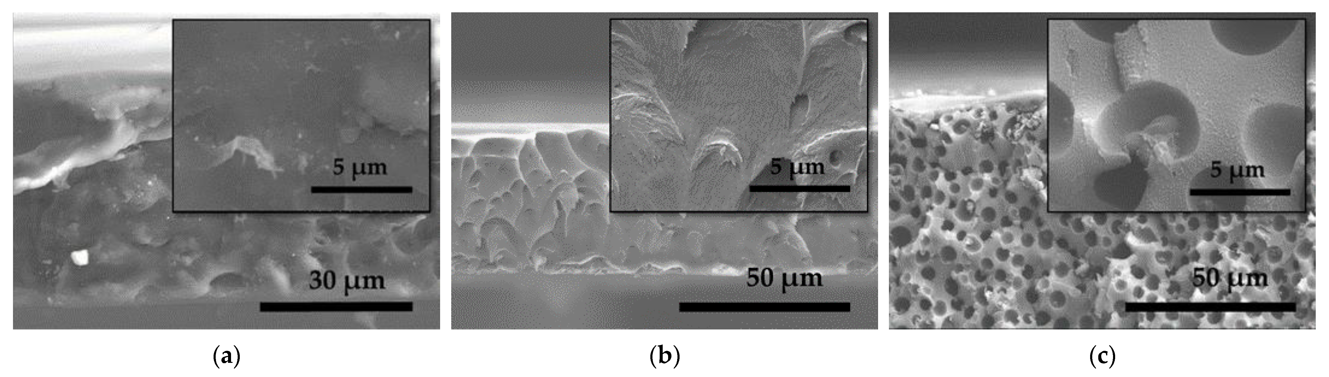 Nanomaterials 11 00668 g004 Nanomaterials 11 00668 g004