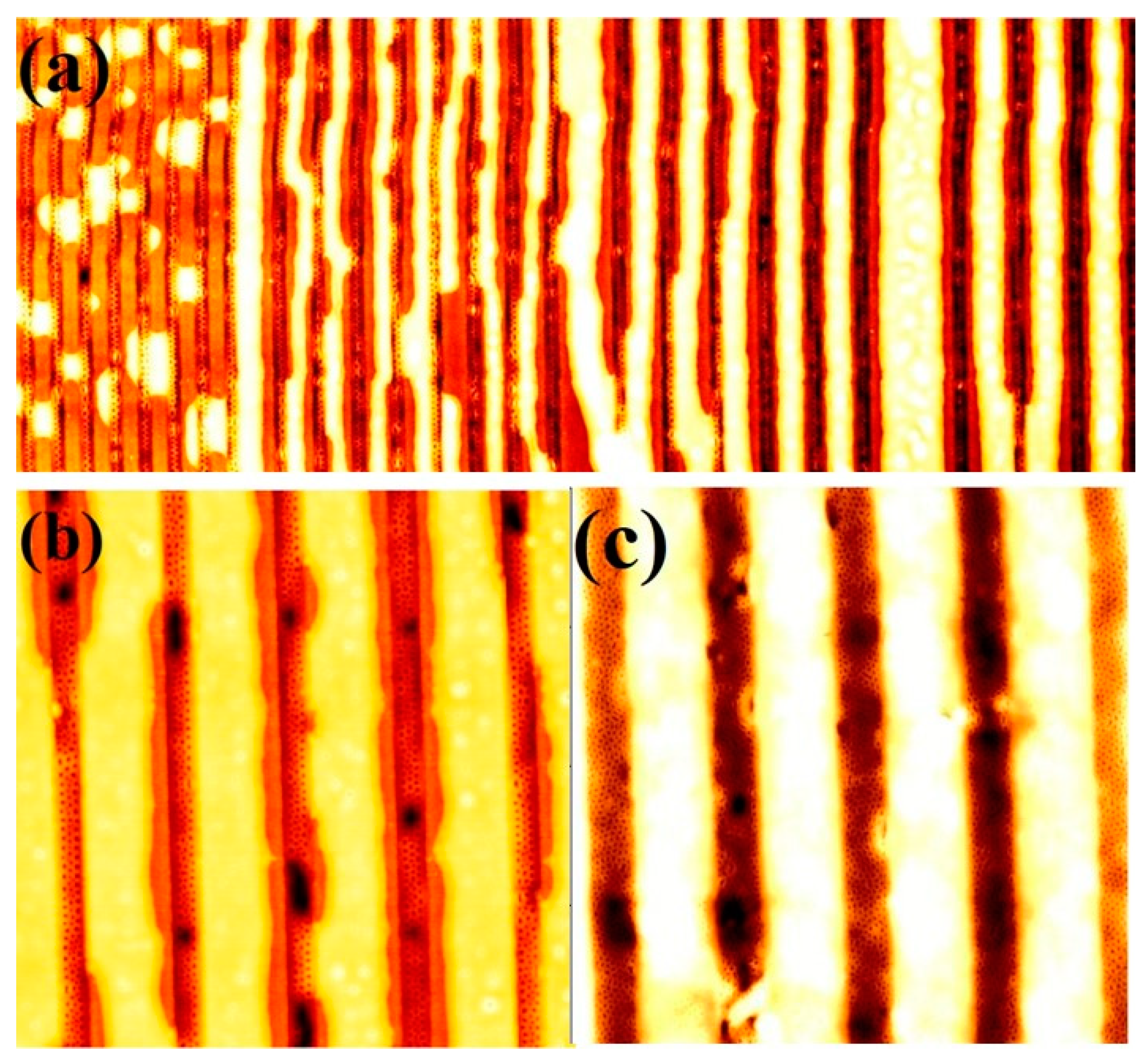 Nanomaterials 11 00669 g006