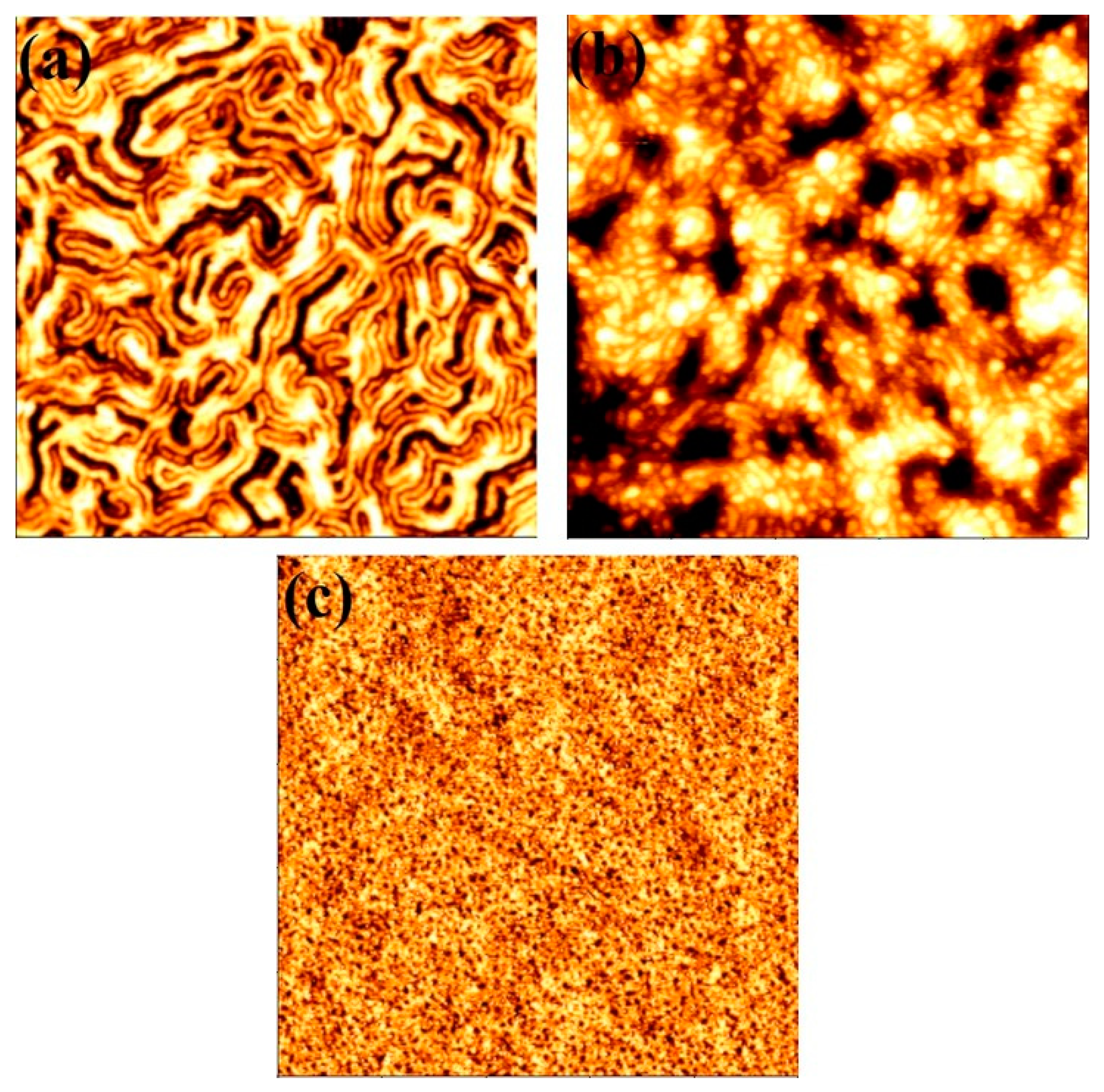 Nanomaterials 11 00669 g007