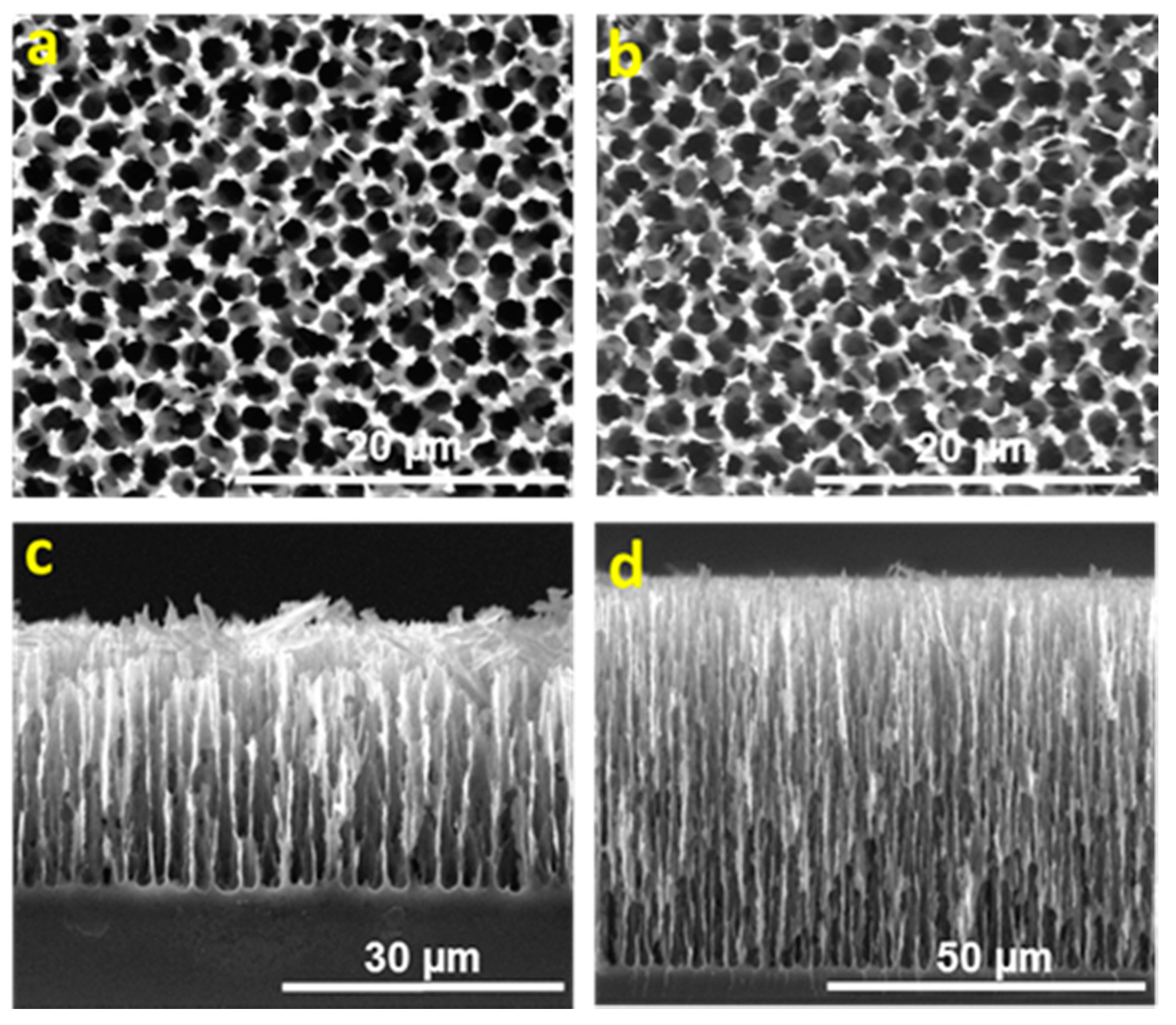 Nanomaterials 11 00670 g001