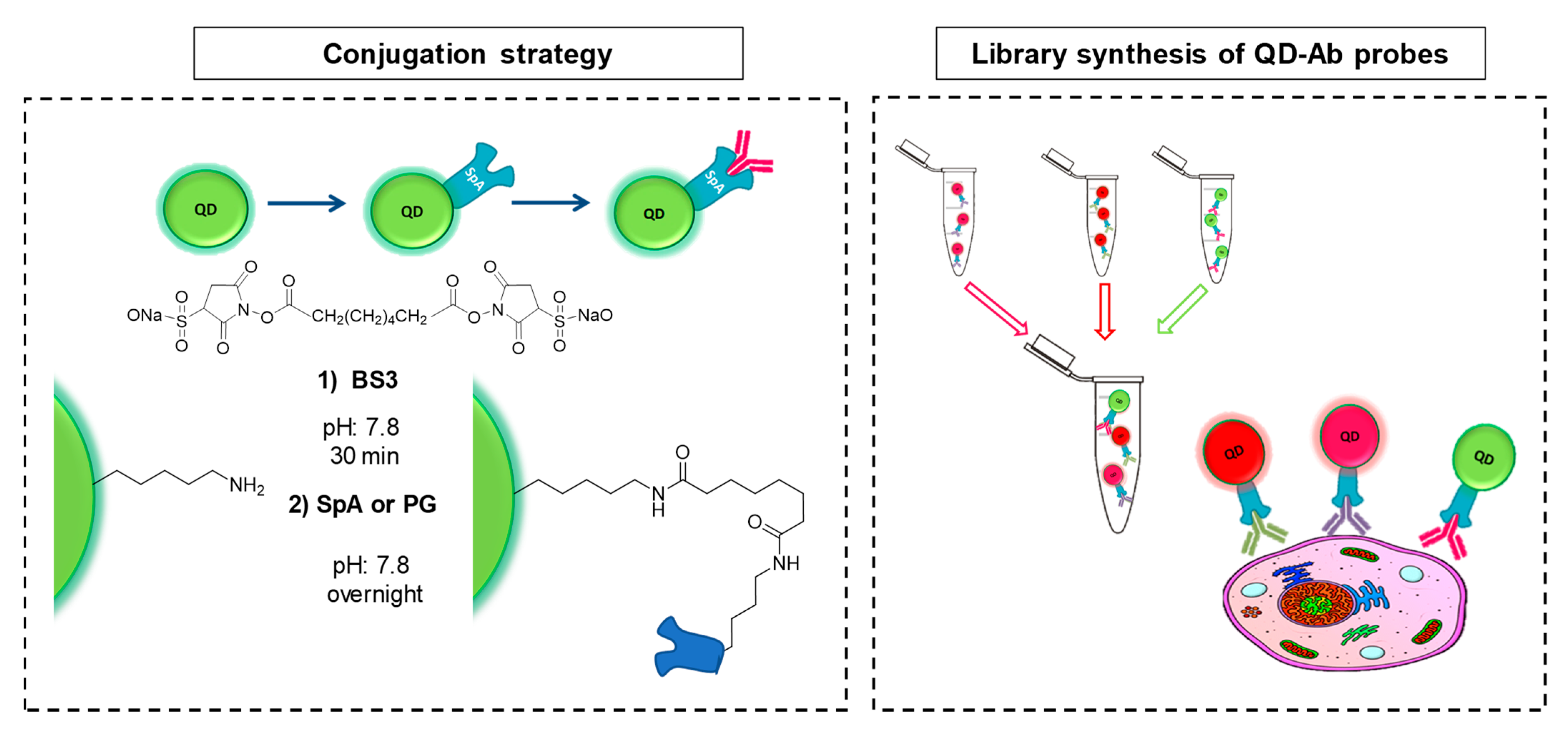 Nanomaterials 11 00671 g001 Nanomaterials 11 00671 g001