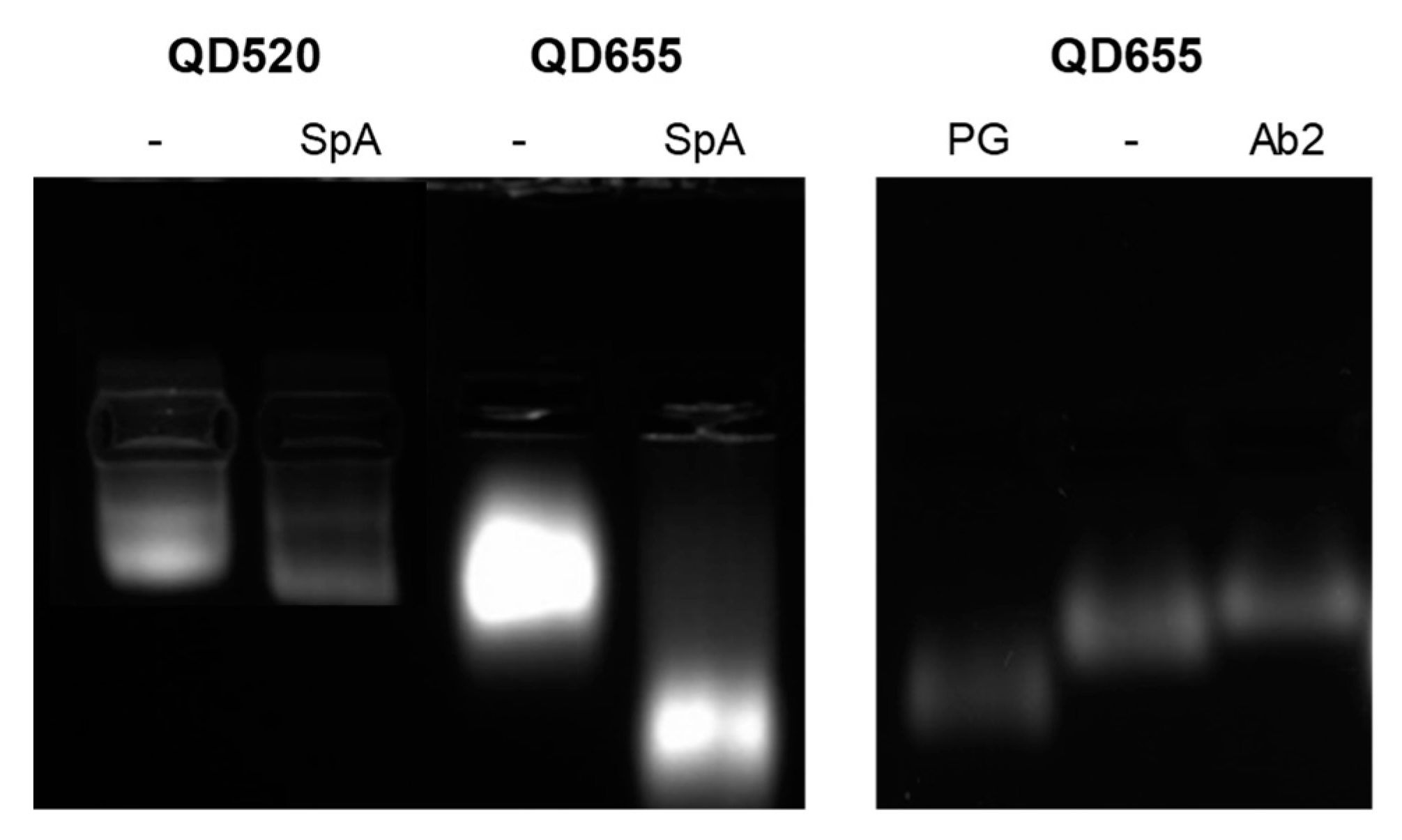 Nanomaterials 11 00671 g004 Nanomaterials 11 00671 g004