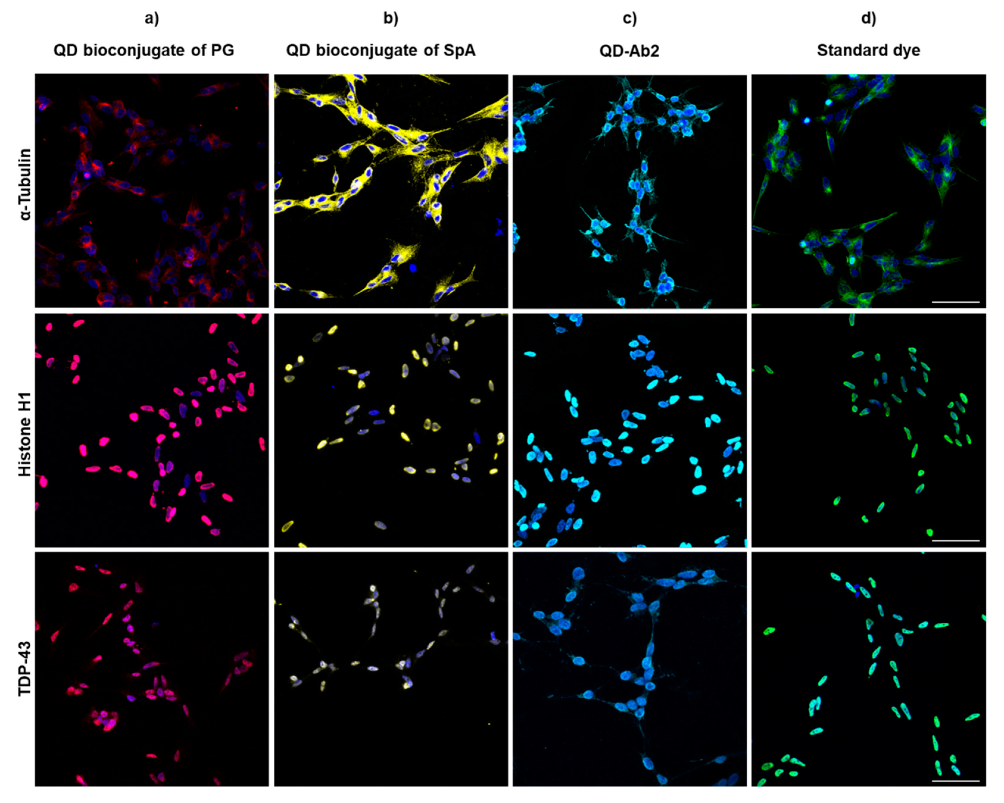 Nanomaterials 11 00671 g006 Nanomaterials 11 00671 g006