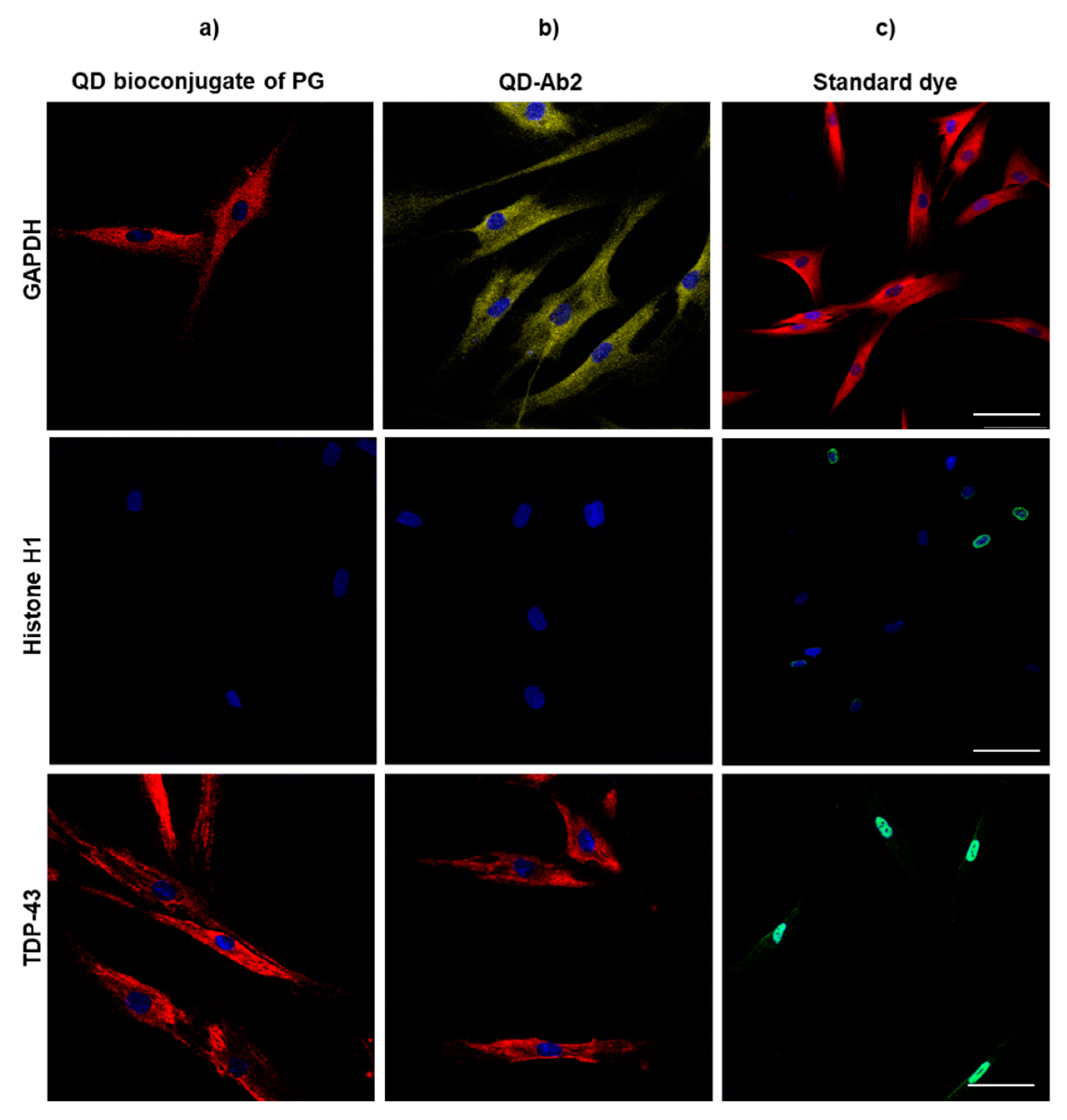 Nanomaterials 11 00671 g007 Nanomaterials 11 00671 g007