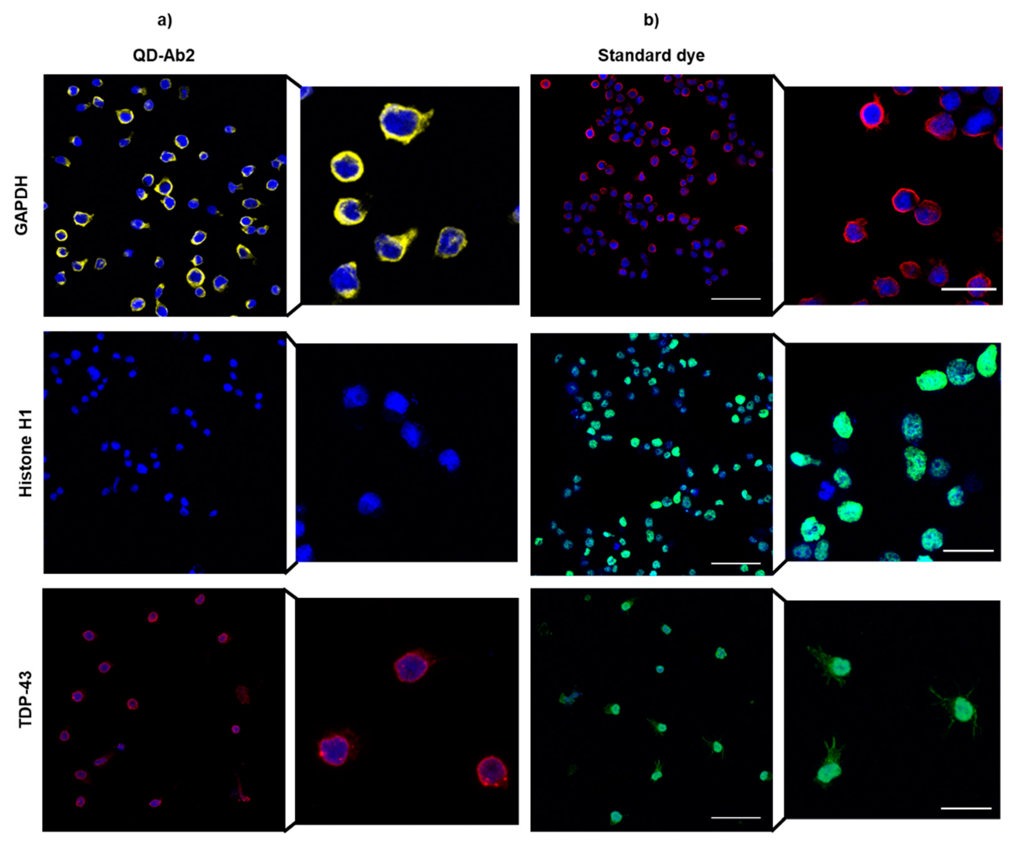 Nanomaterials 11 00671 g008 Nanomaterials 11 00671 g008
