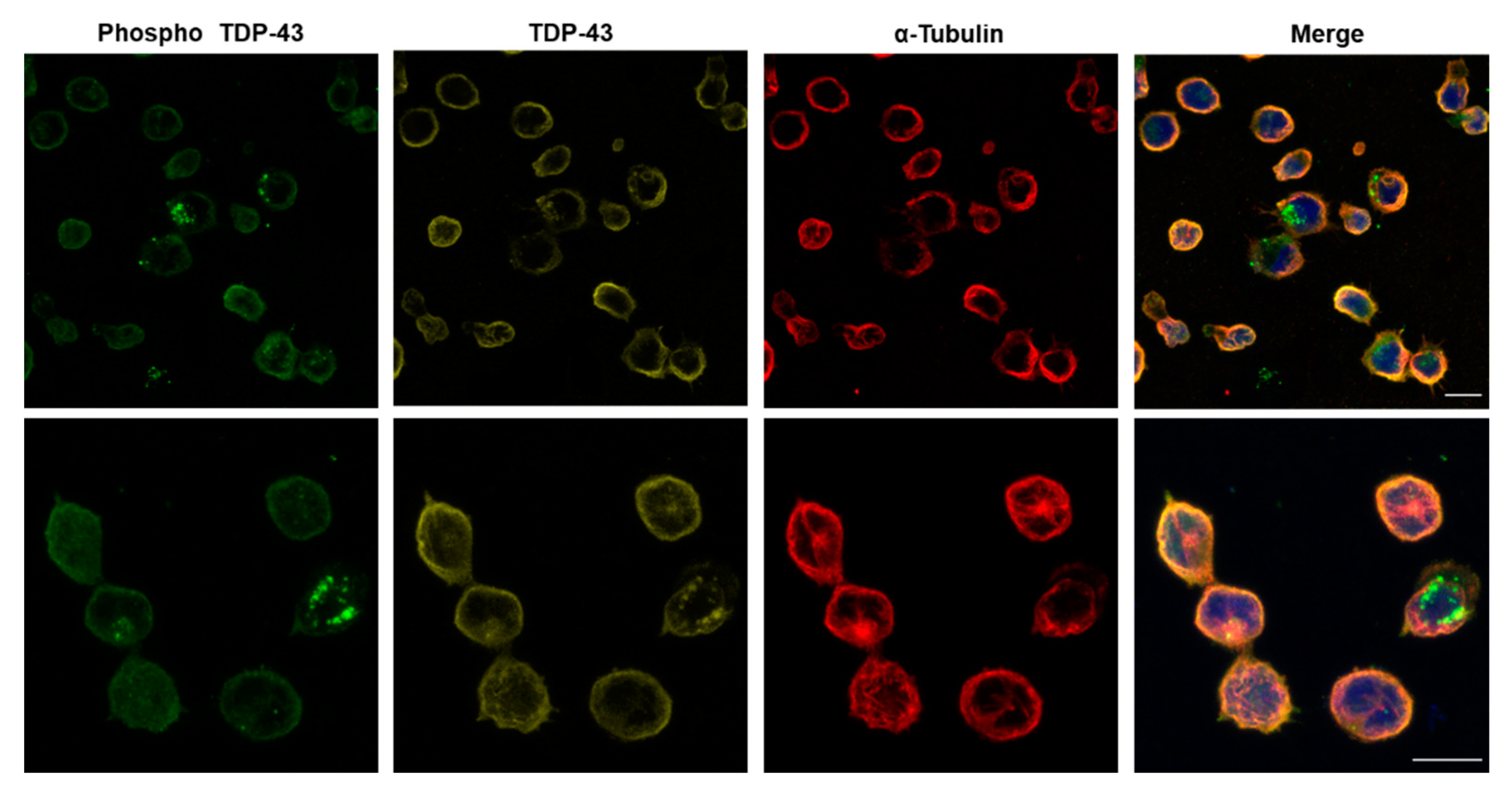 Nanomaterials 11 00671 g009 Nanomaterials 11 00671 g009