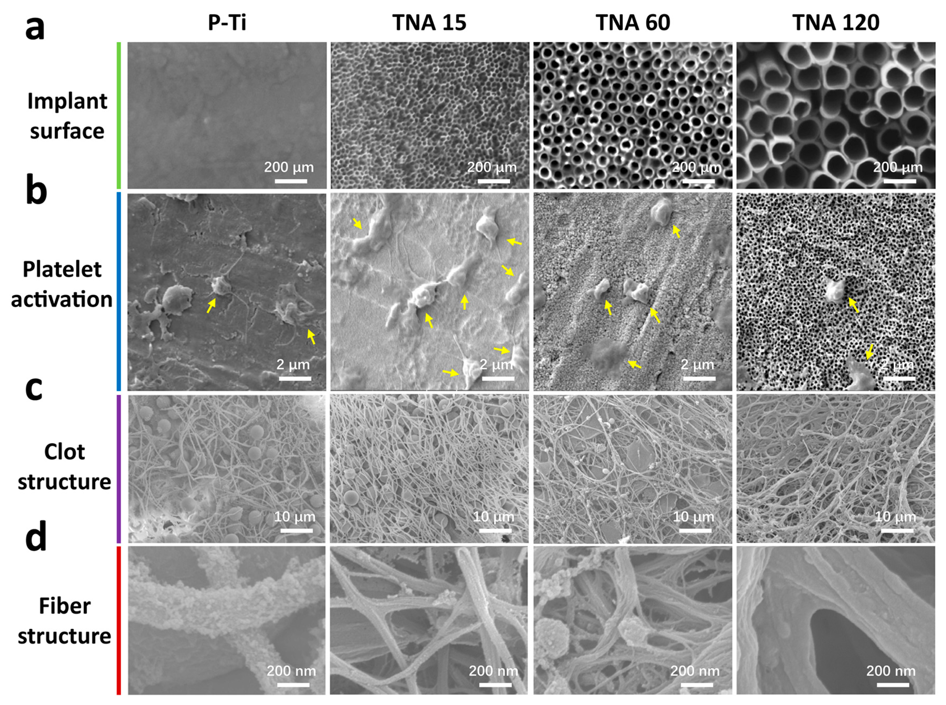 Nanomaterials 11 00674 g001