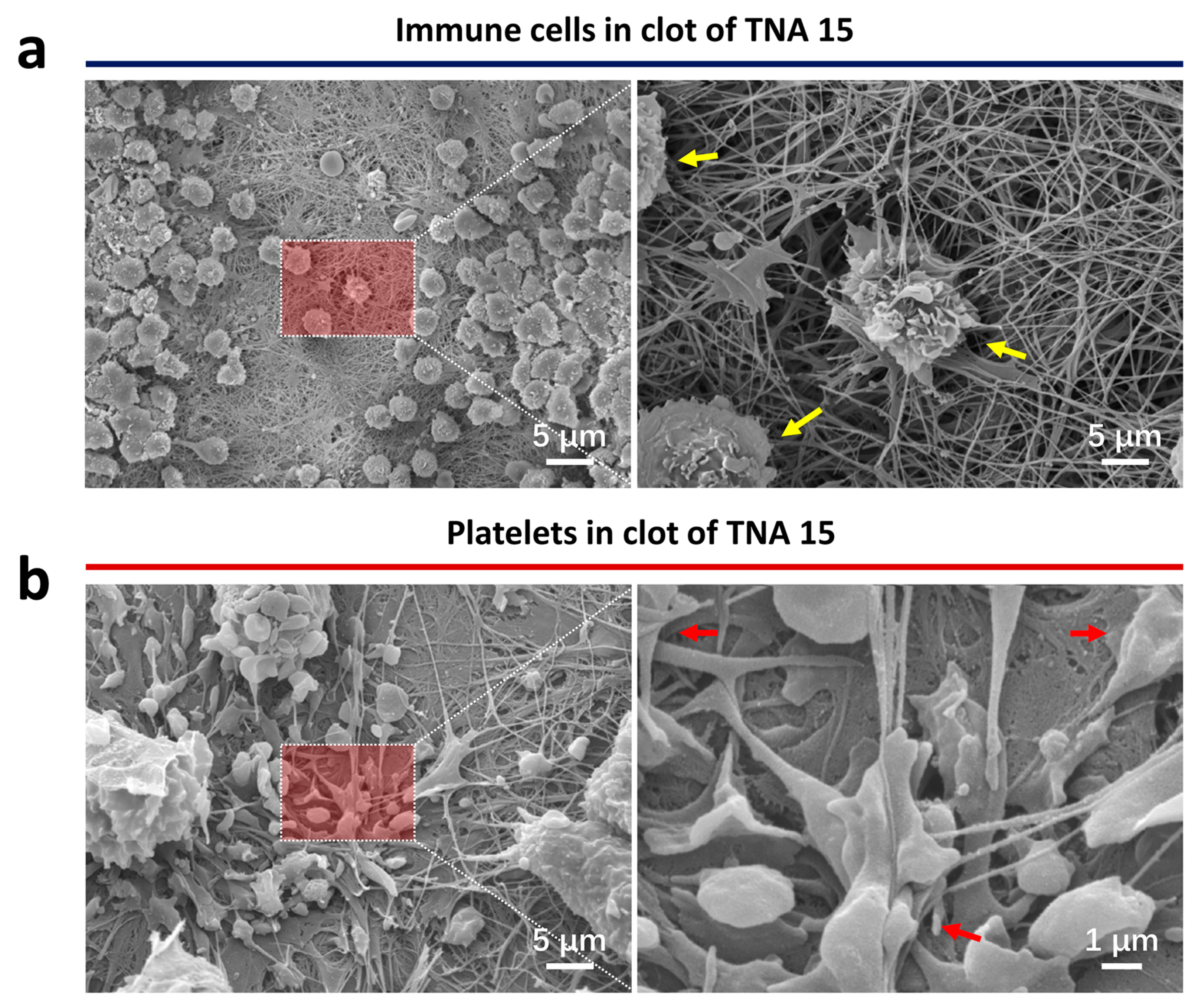 Nanomaterials 11 00674 g002