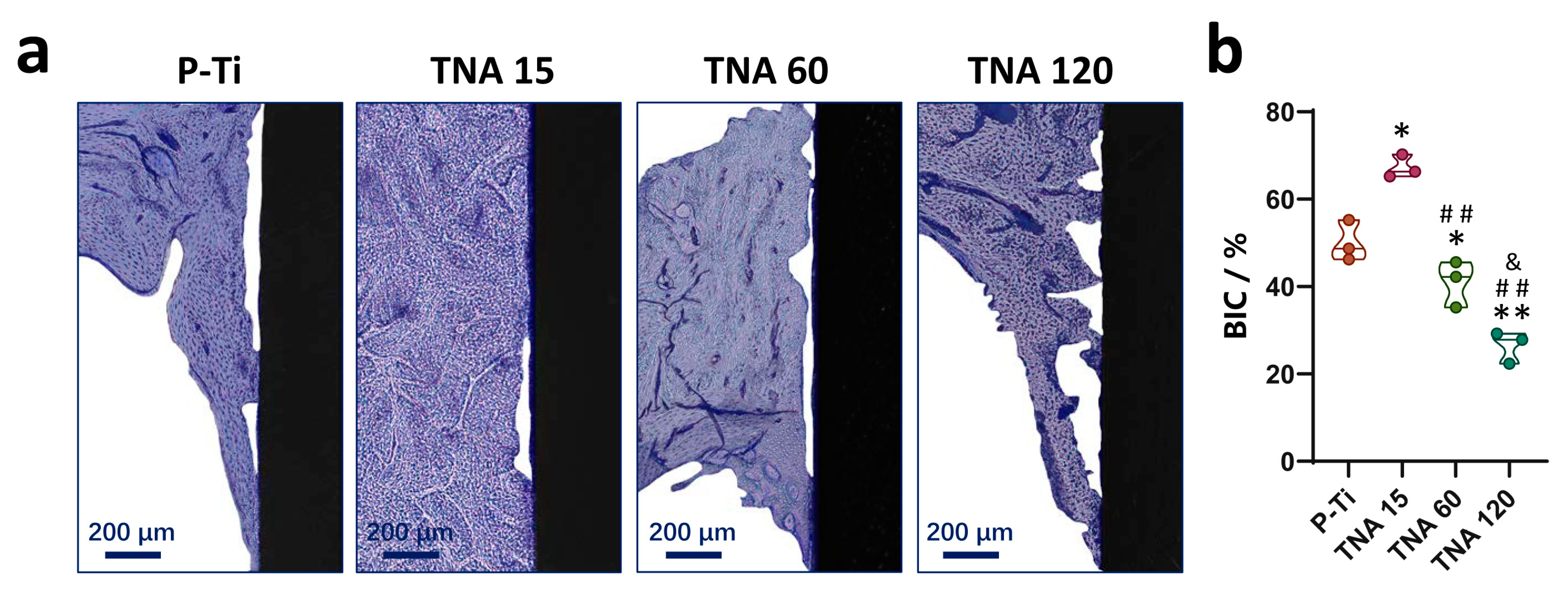Nanomaterials 11 00674 g003