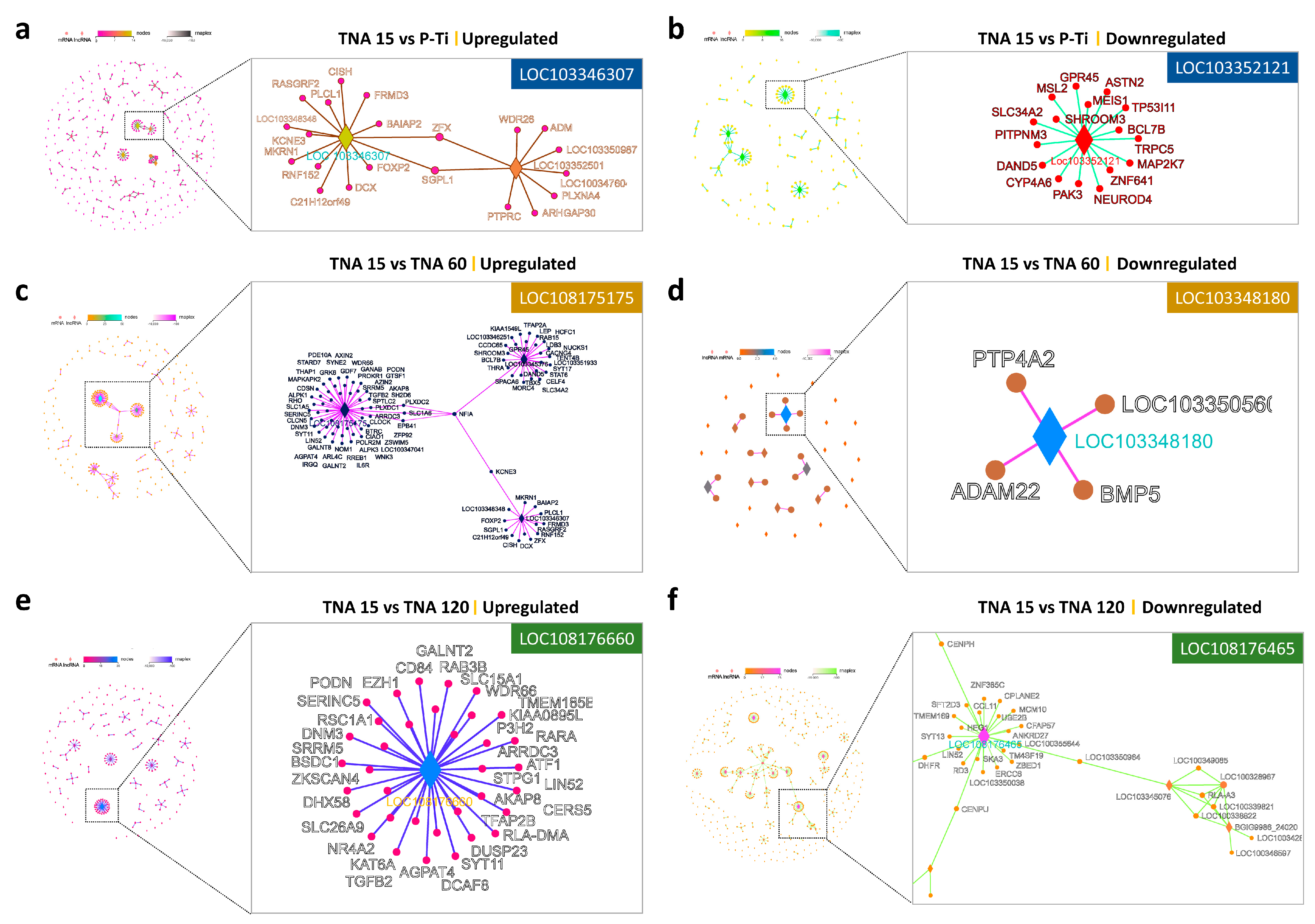 Nanomaterials 11 00674 g005