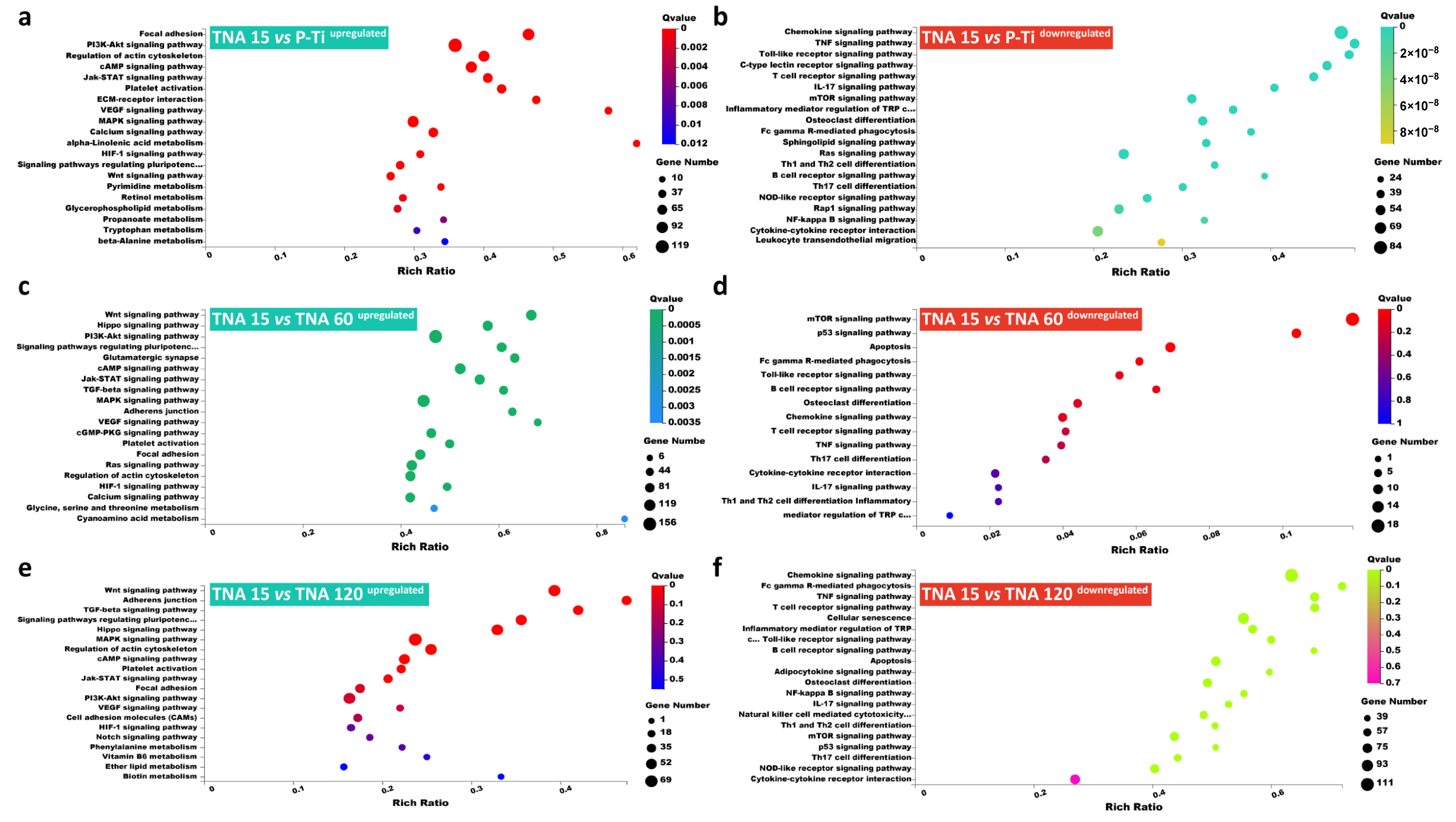 Nanomaterials 11 00674 g006