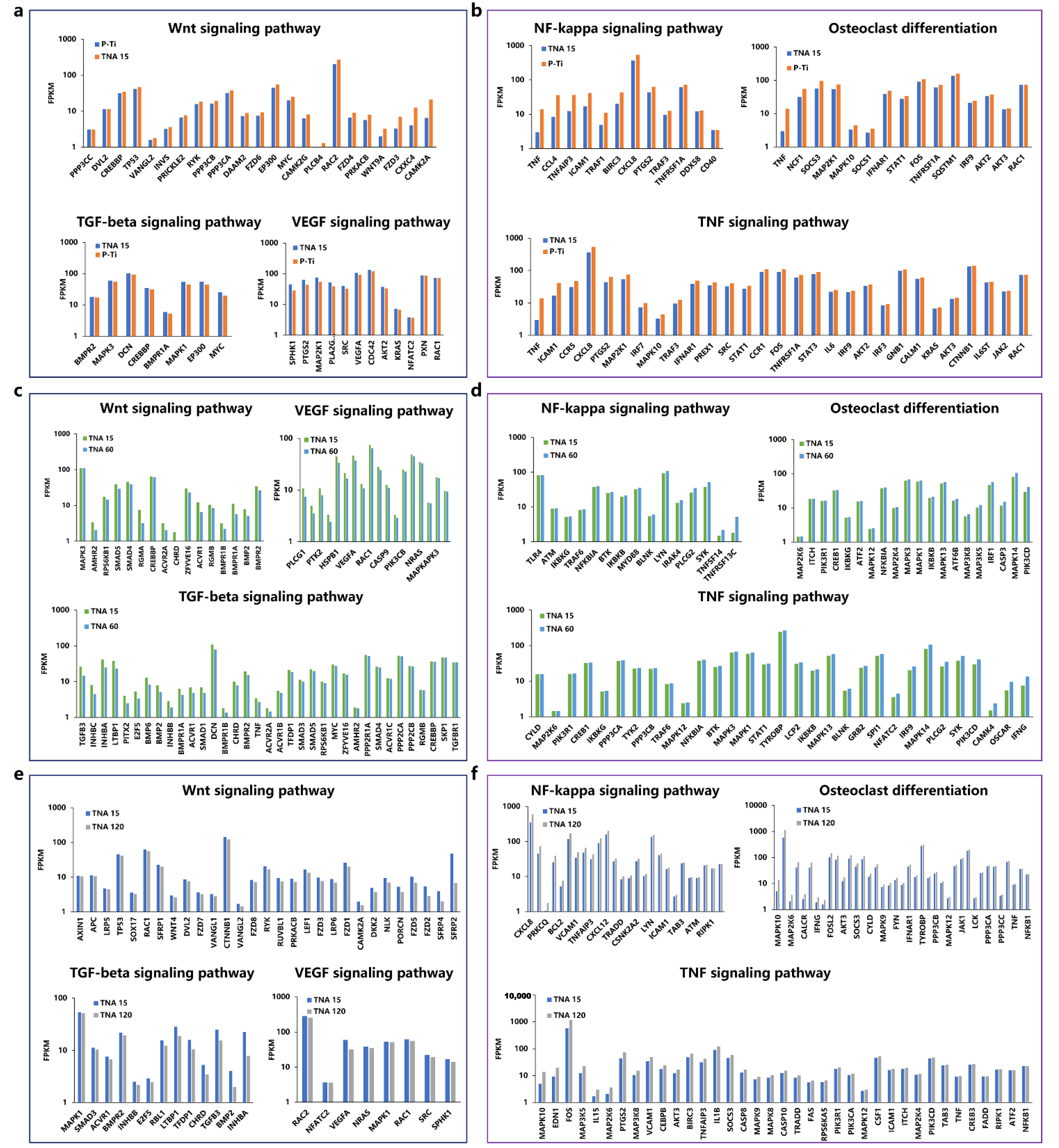 Nanomaterials 11 00674 g007