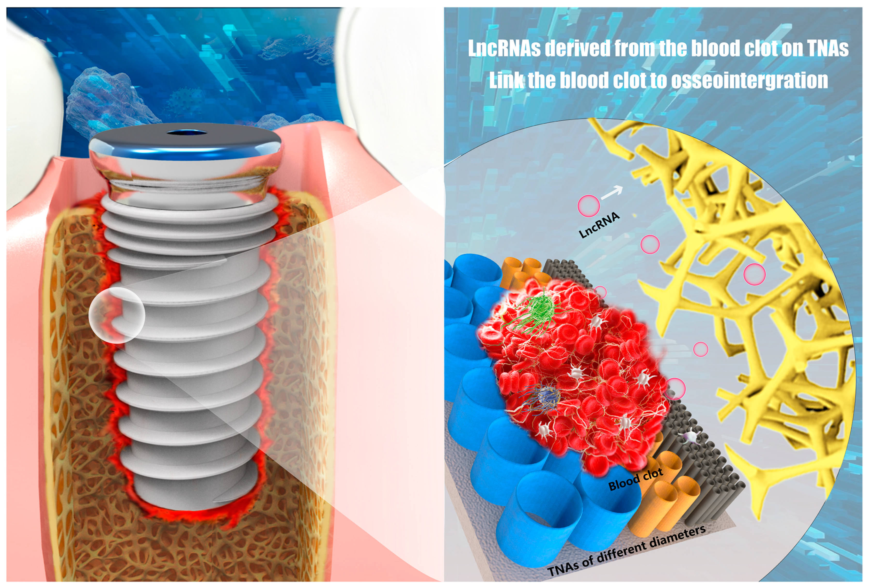 Nanomaterials 11 00674 g008
