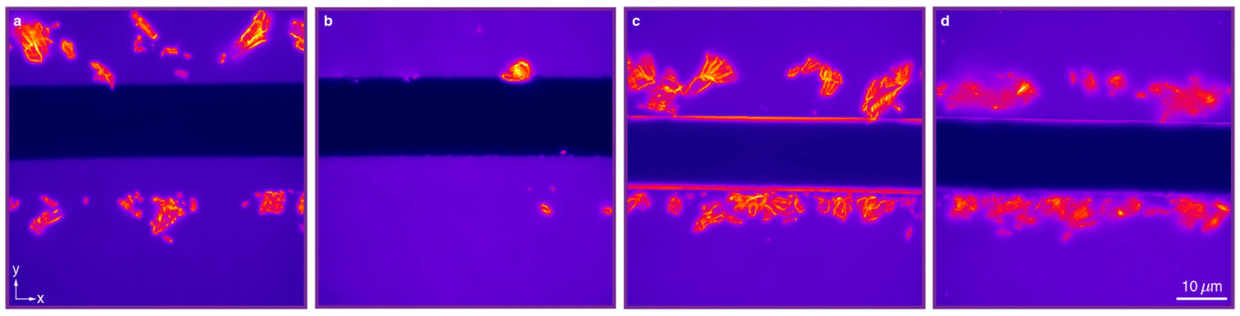 Nanomaterials 11 00683 g006