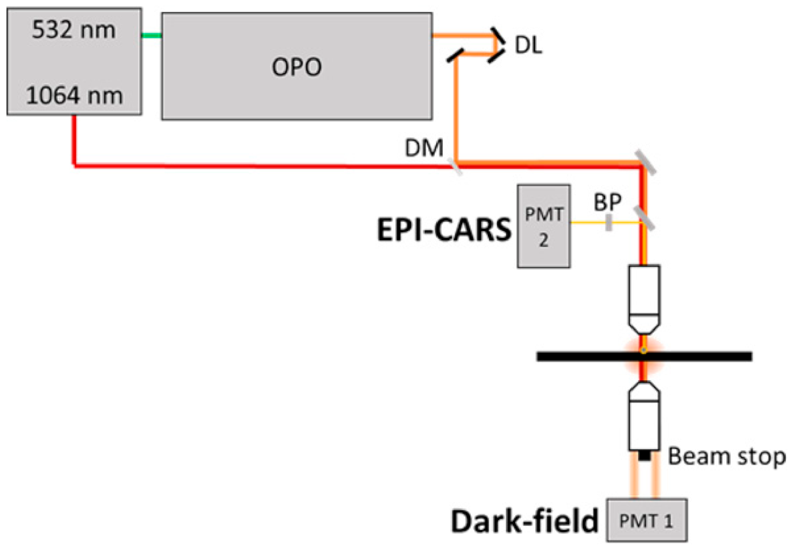 Nanomaterials 11 00685 g001 Nanomaterials 11 00685 g001