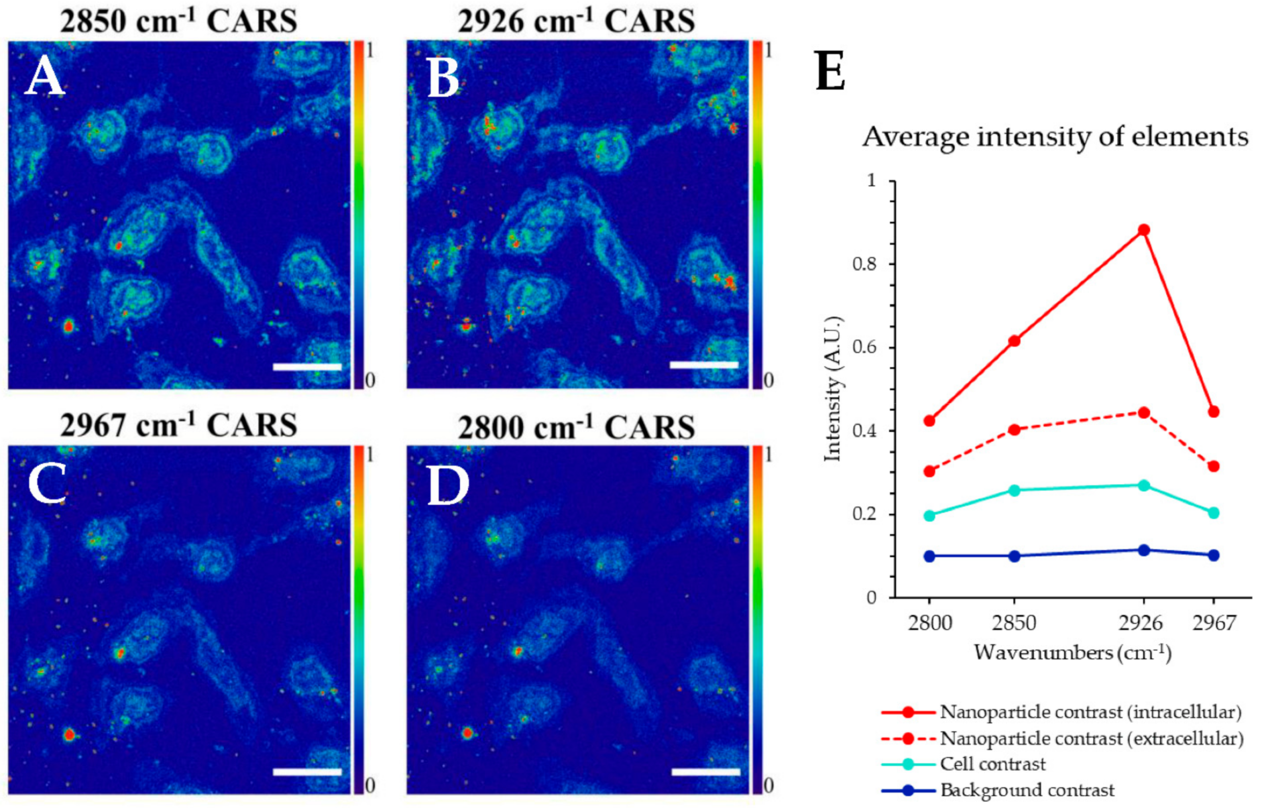 Nanomaterials 11 00685 g004 Nanomaterials 11 00685 g004