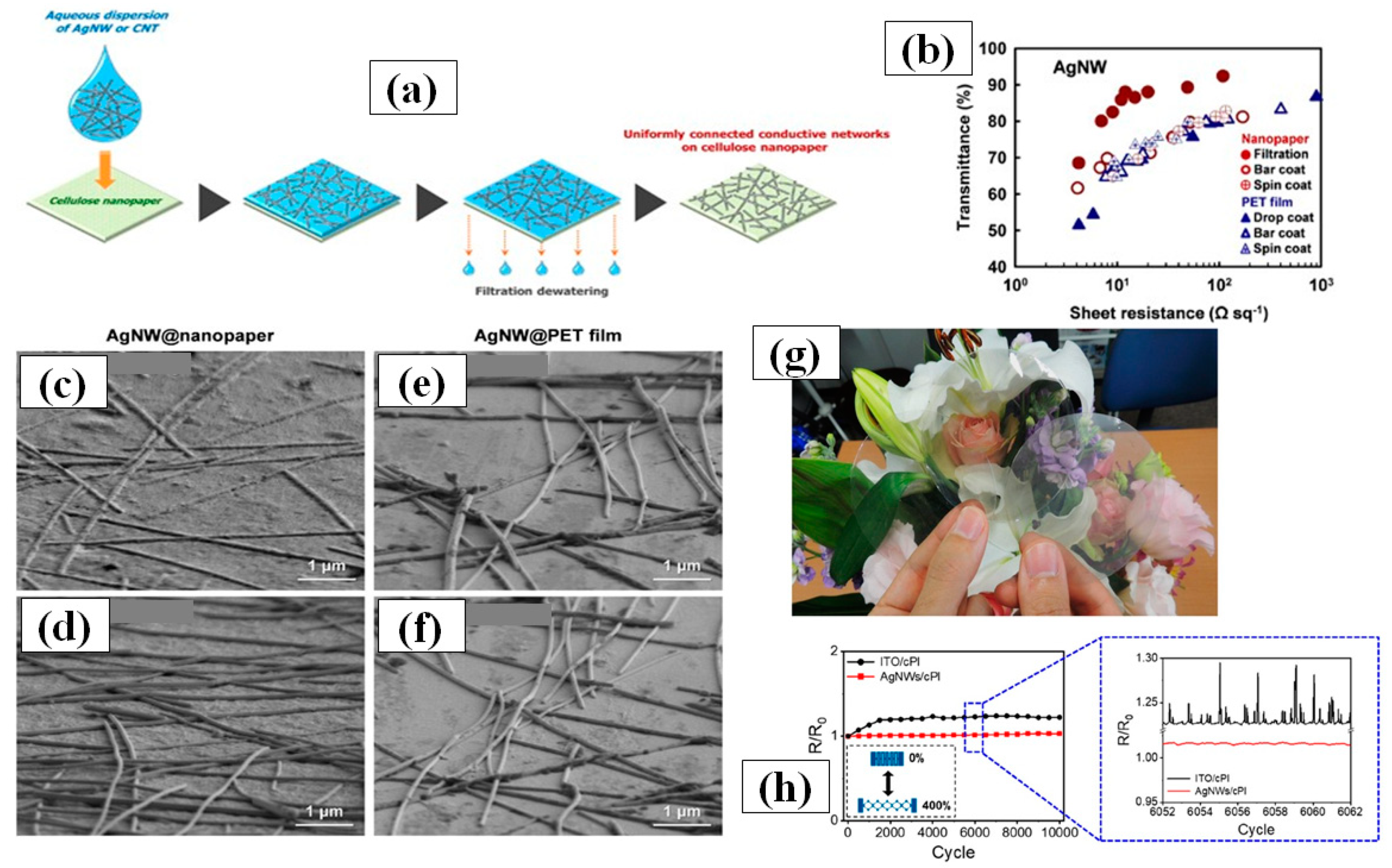 Nanomaterials 11 00693 g011 Nanomaterials 11 00693 g011