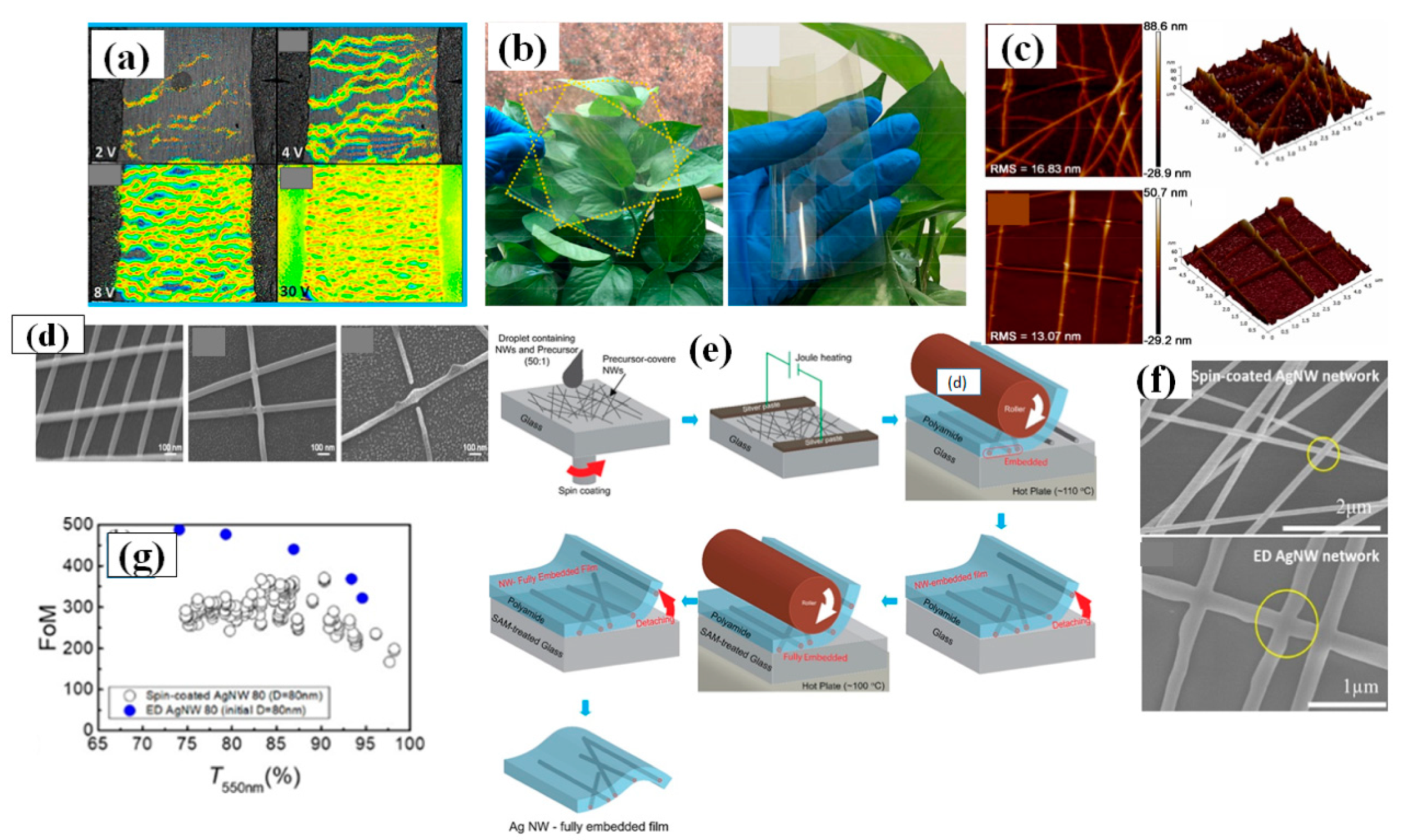 Nanomaterials 11 00693 g021 Nanomaterials 11 00693 g021