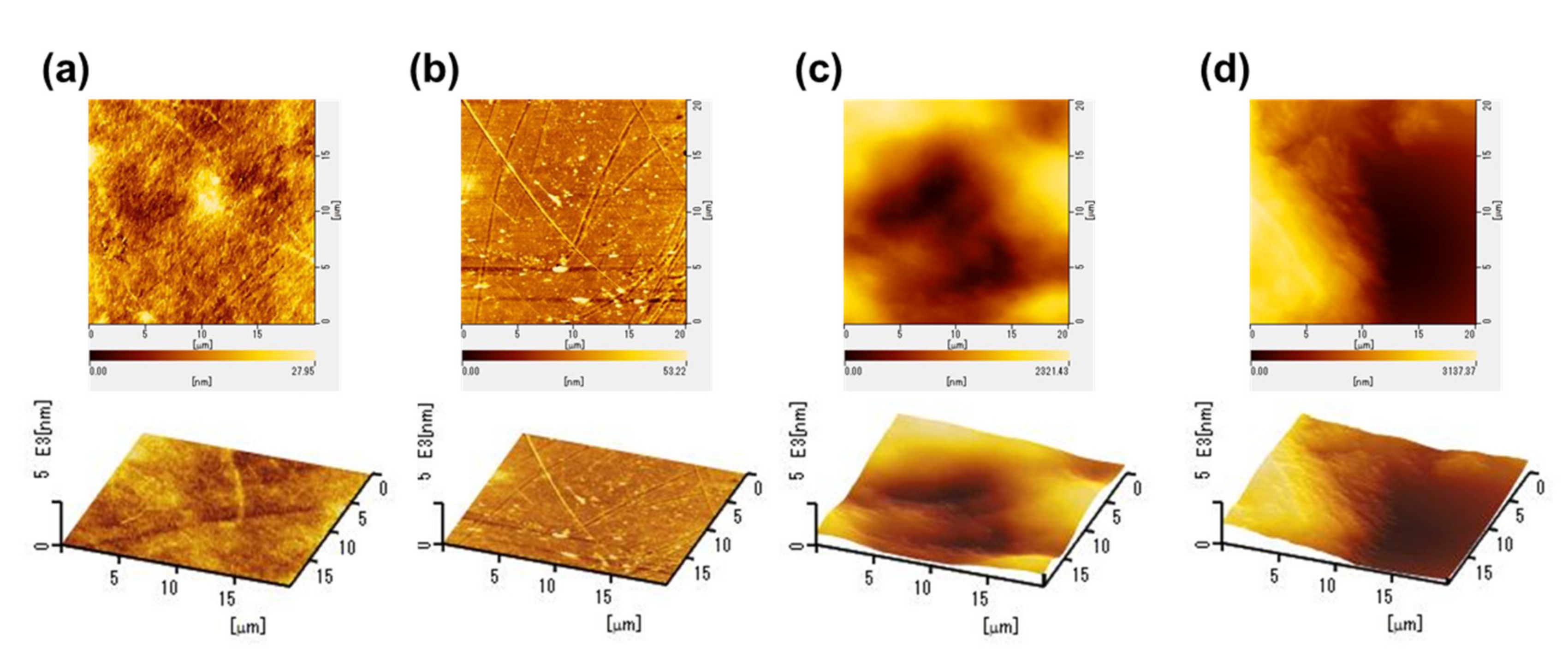 Nanomaterials 11 00697 g002 Nanomaterials 11 00697 g002