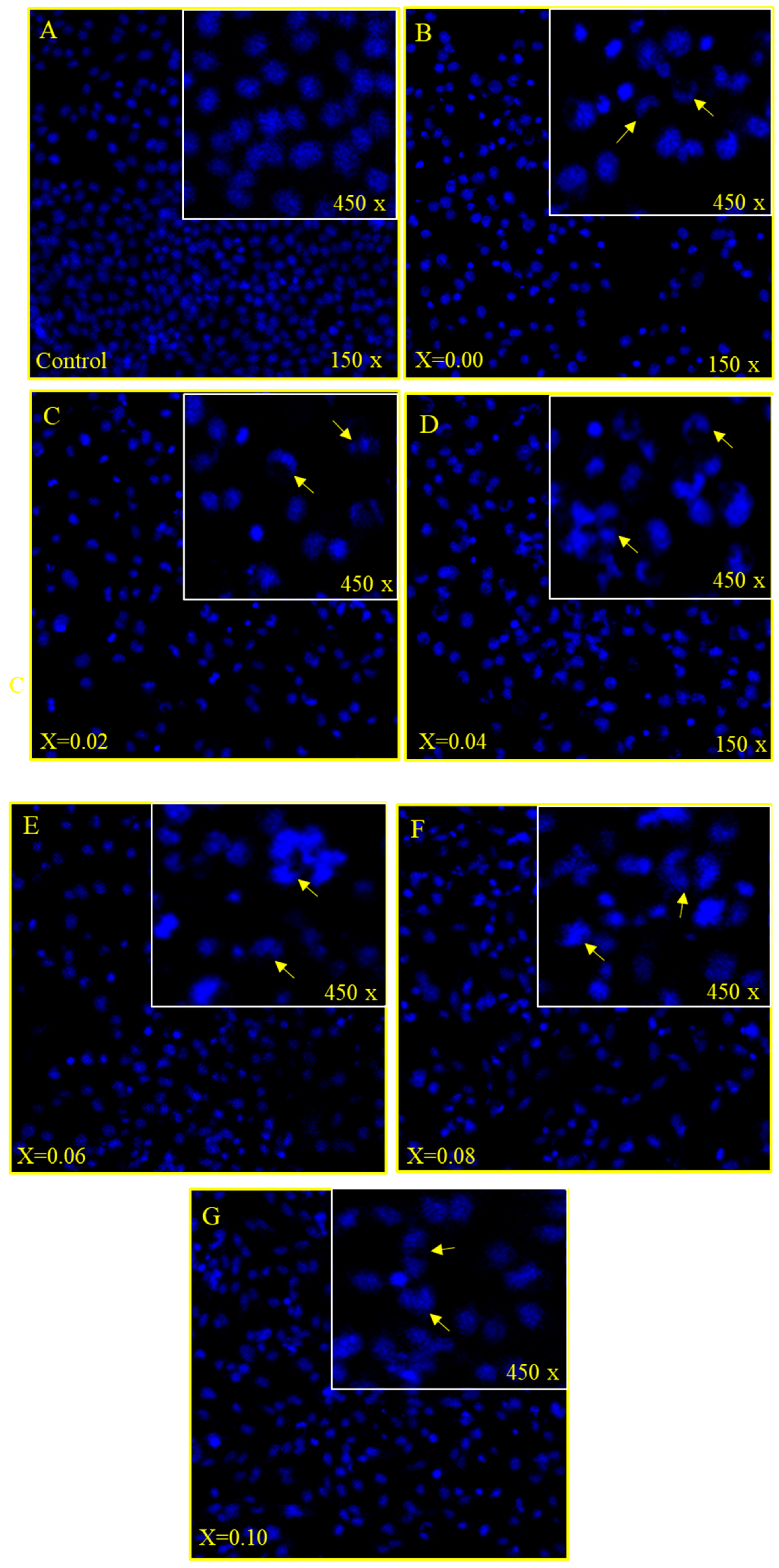 Nanomaterials 11 00700 g006 Nanomaterials 11 00700 g006