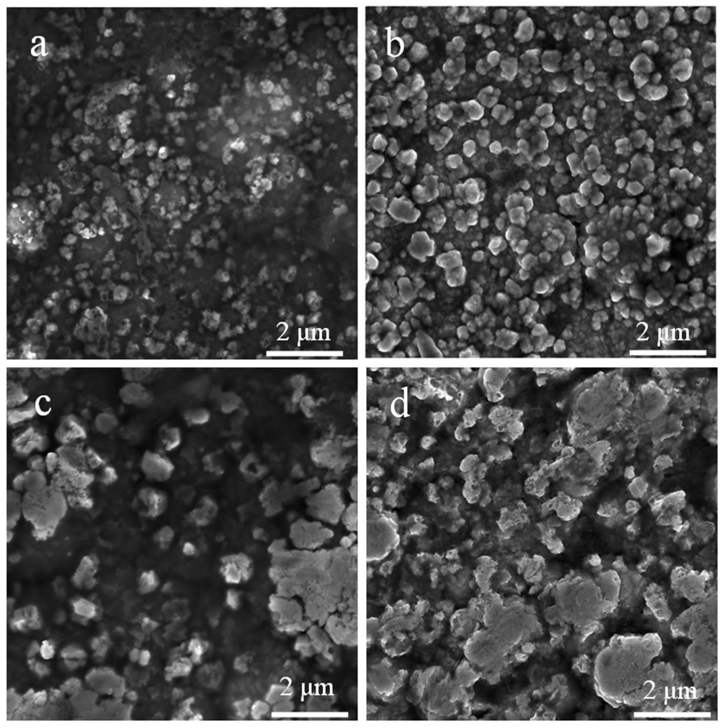 Nanomaterials 11 00702 g004 Nanomaterials 11 00702 g004
