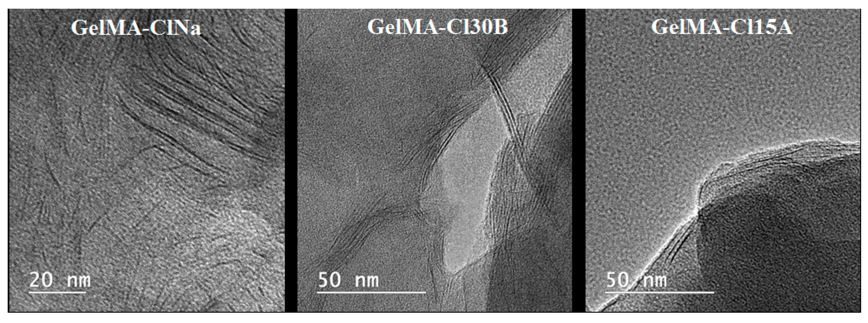 Nanomaterials 11 00703 g004 Nanomaterials 11 00703 g004