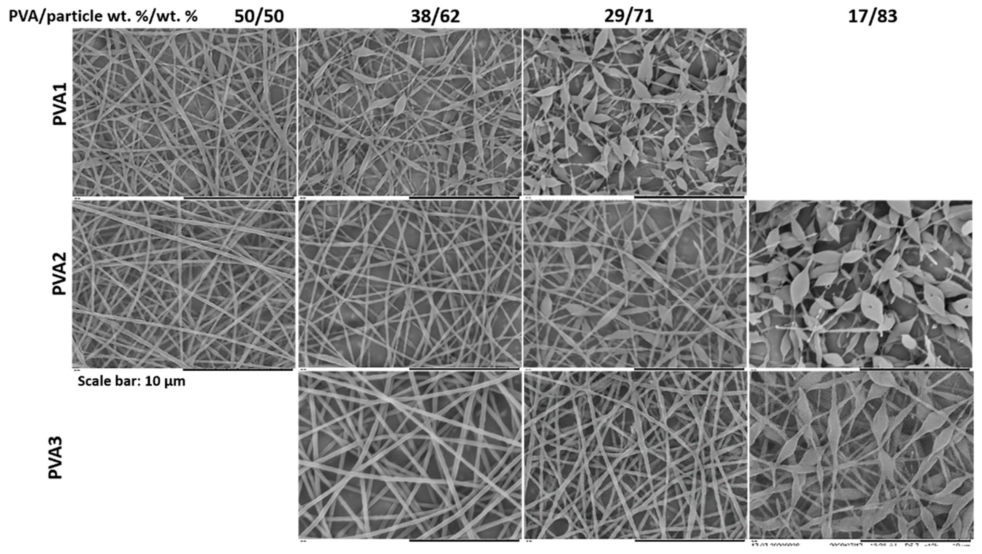 Nanomaterials 11 00706 g002
