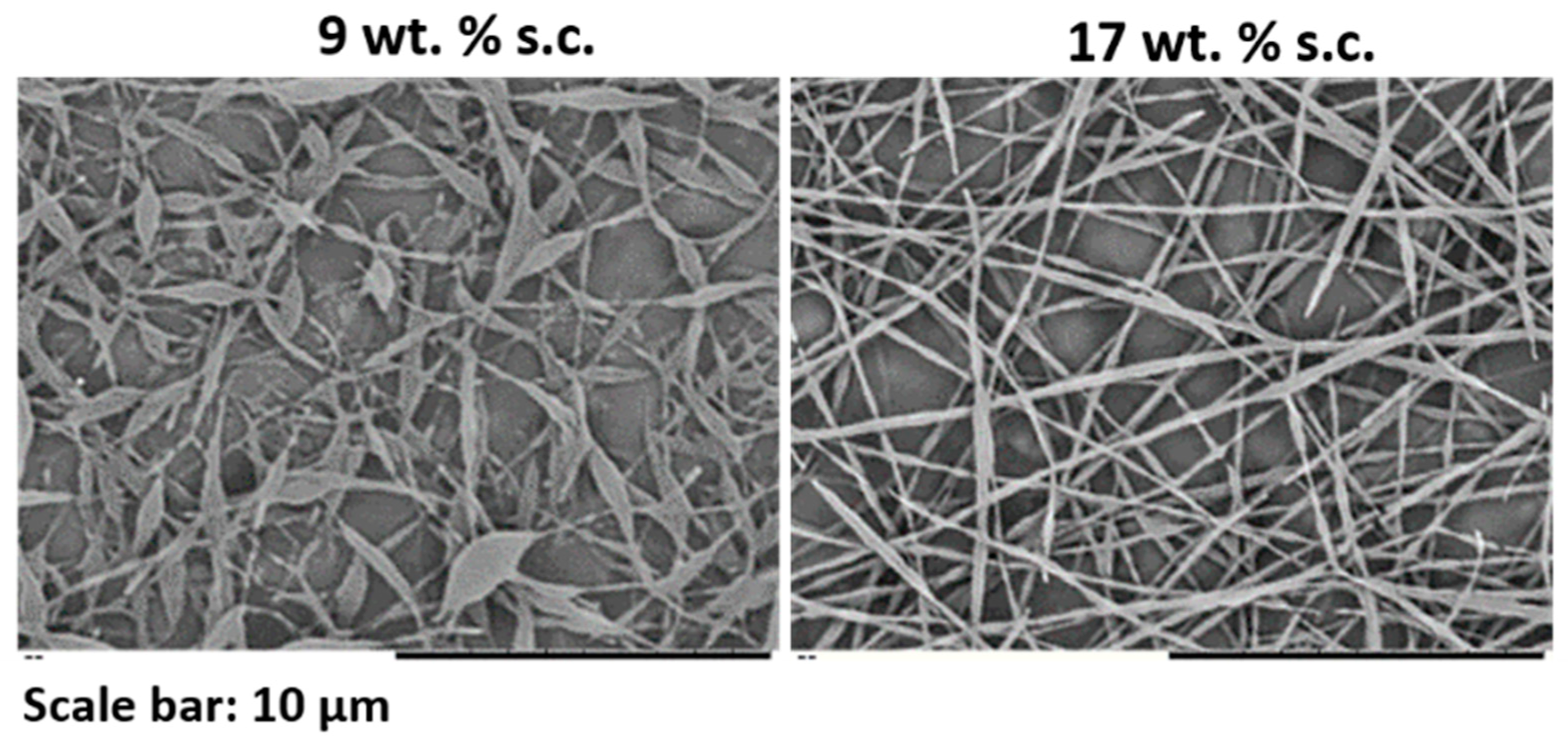 Nanomaterials 11 00706 g005