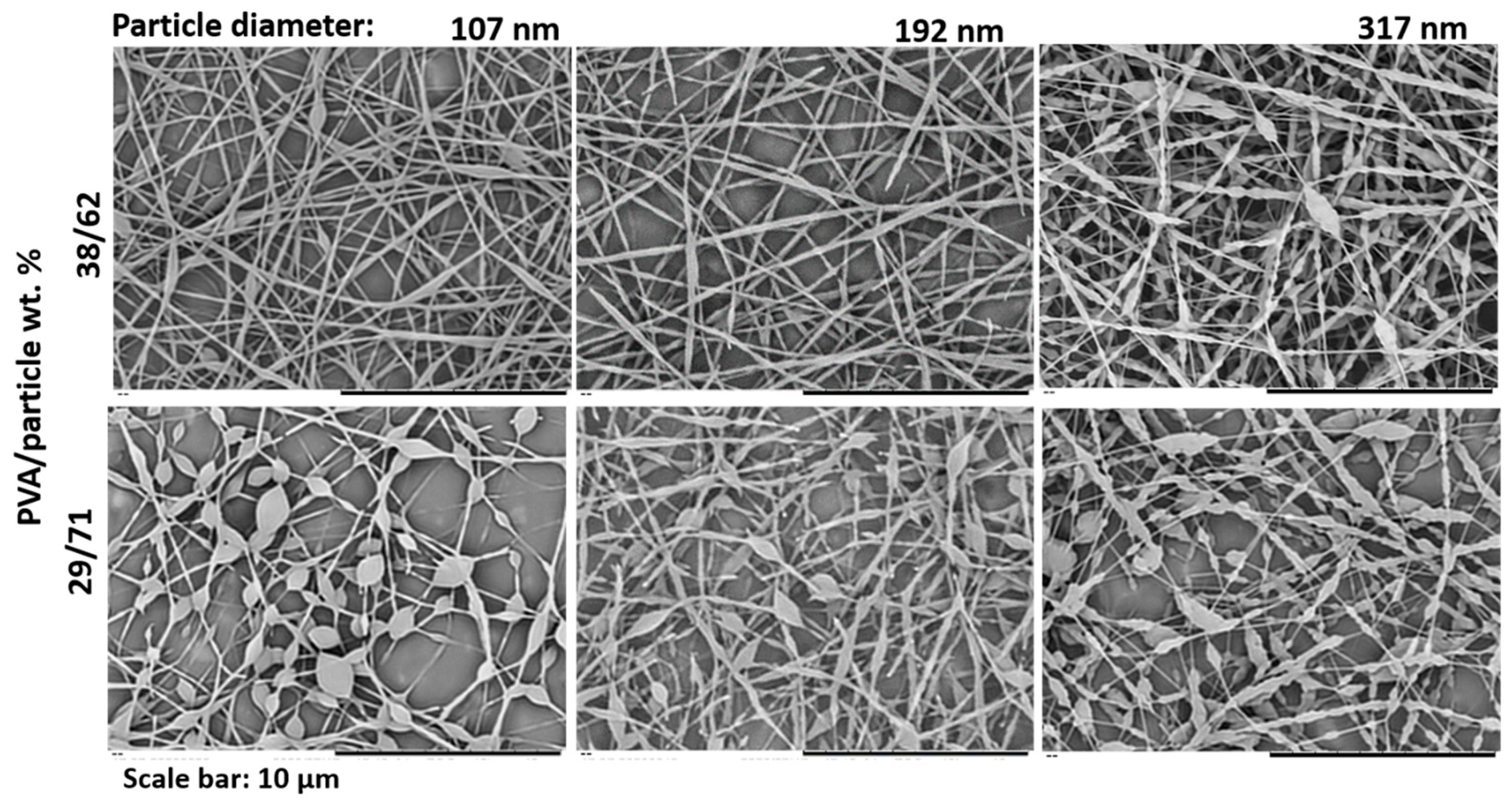 Nanomaterials 11 00706 g006