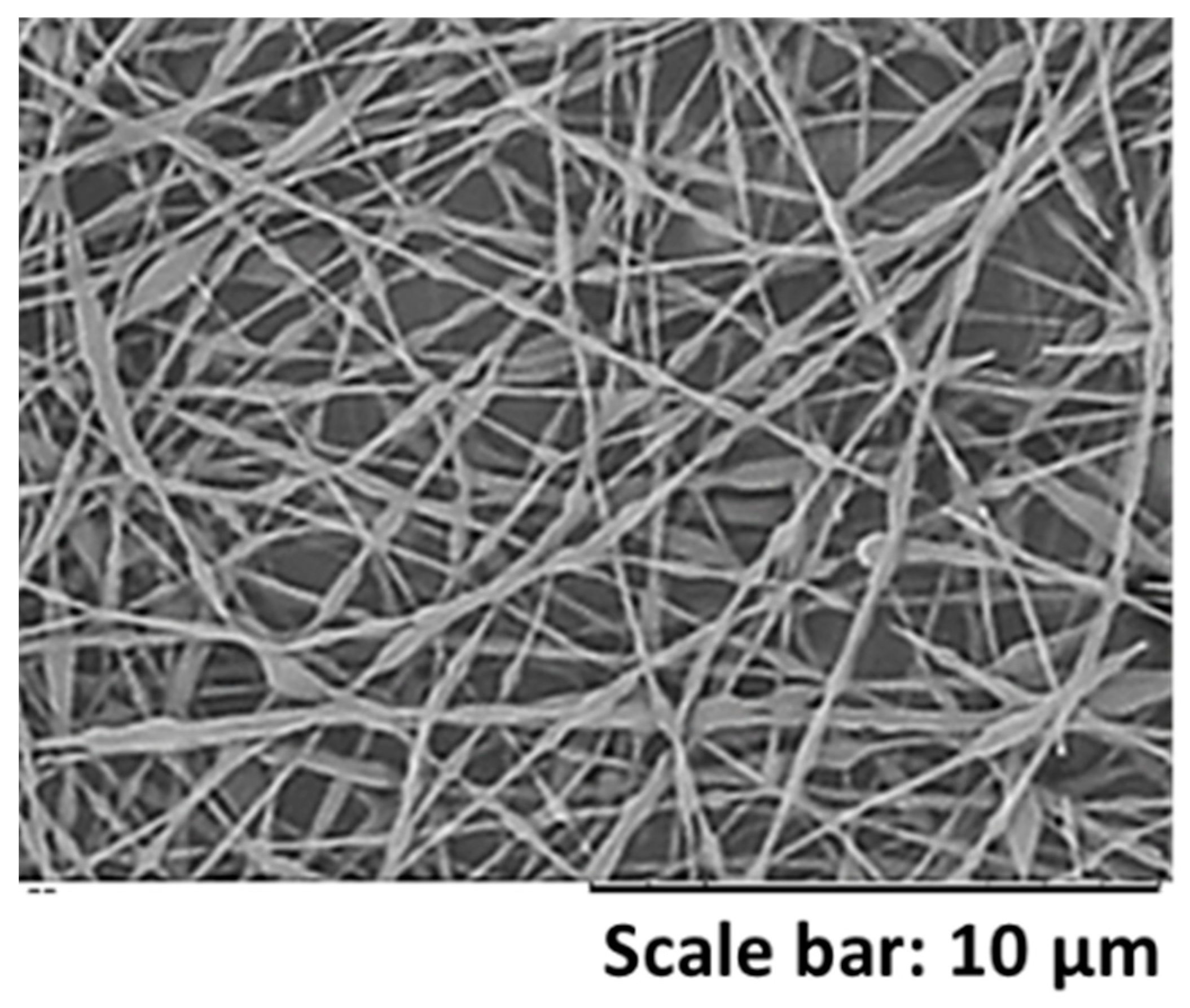 Nanomaterials 11 00706 g007