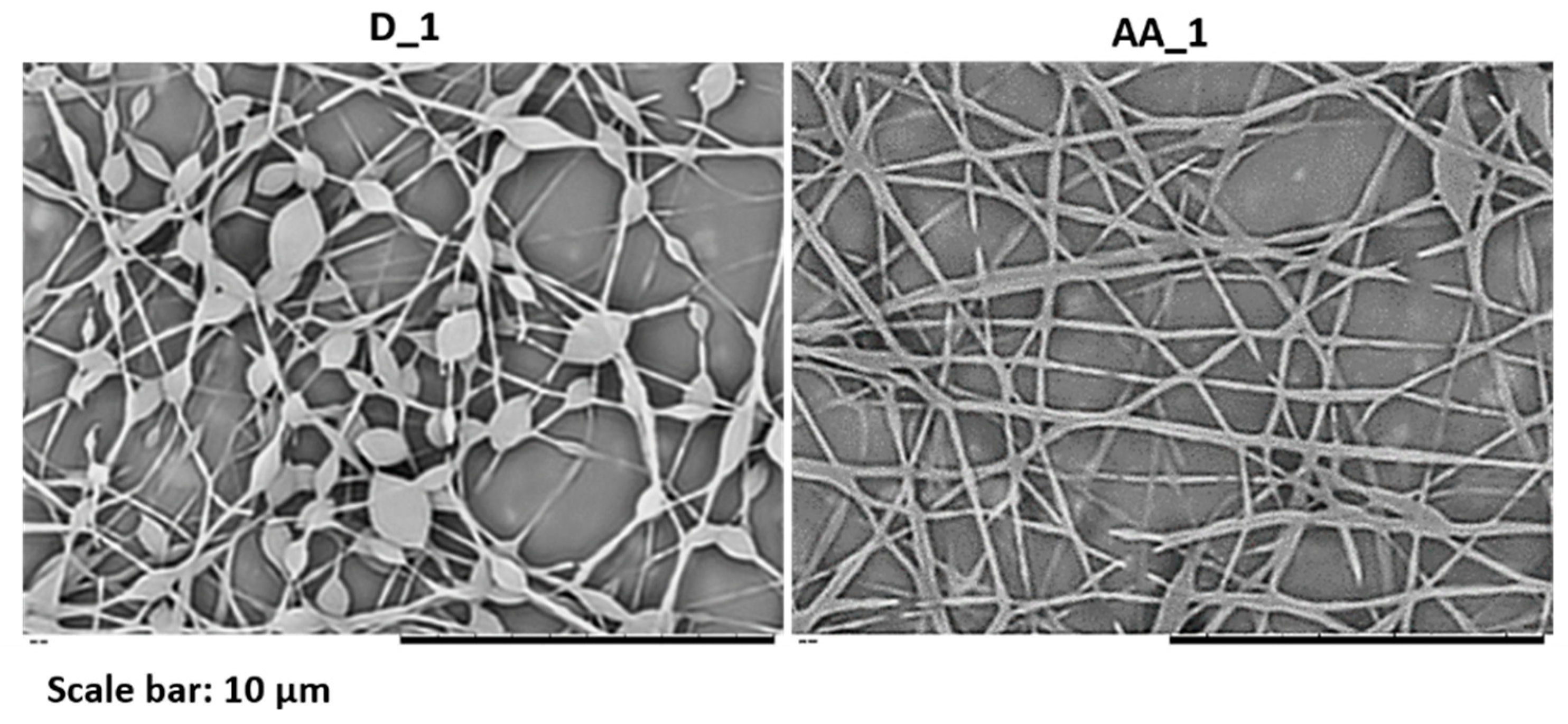 Nanomaterials 11 00706 g008
