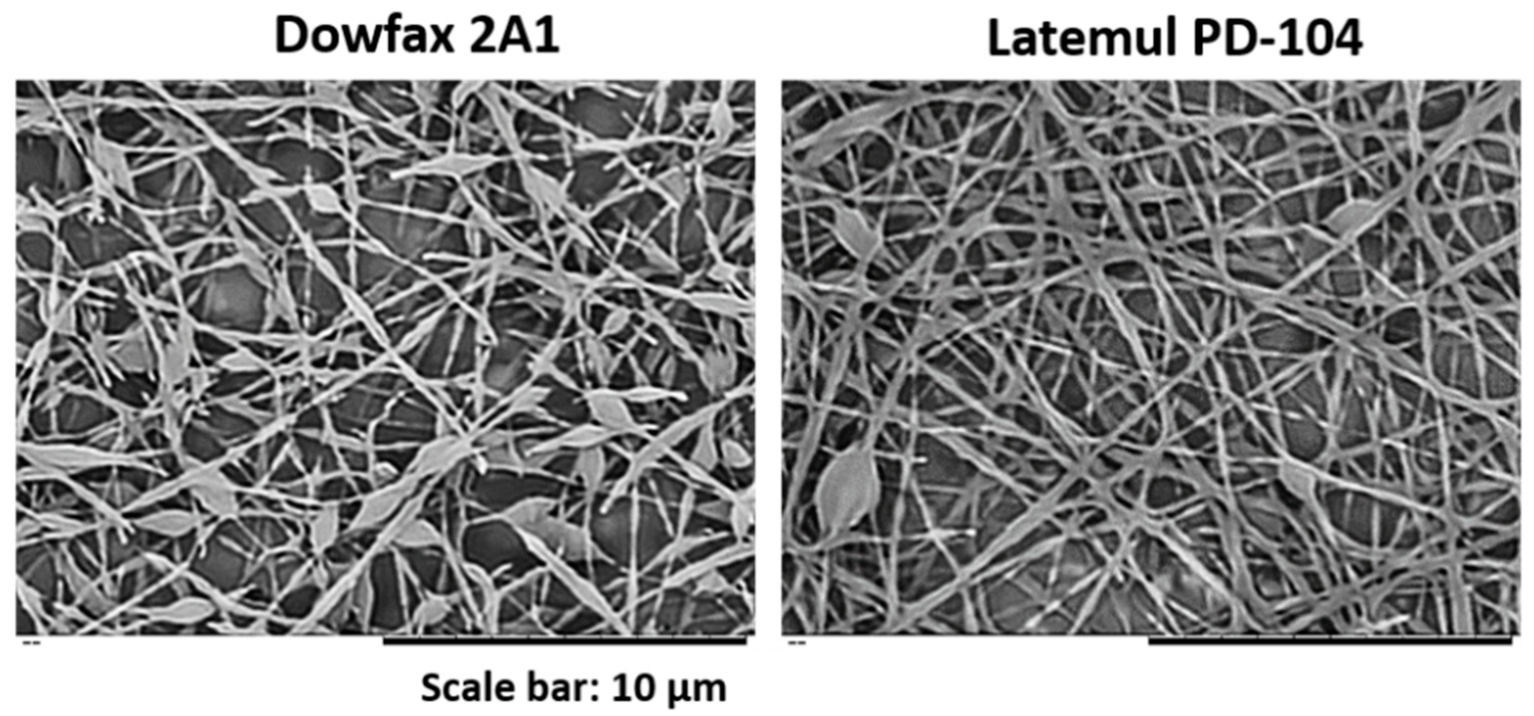 Nanomaterials 11 00706 g009