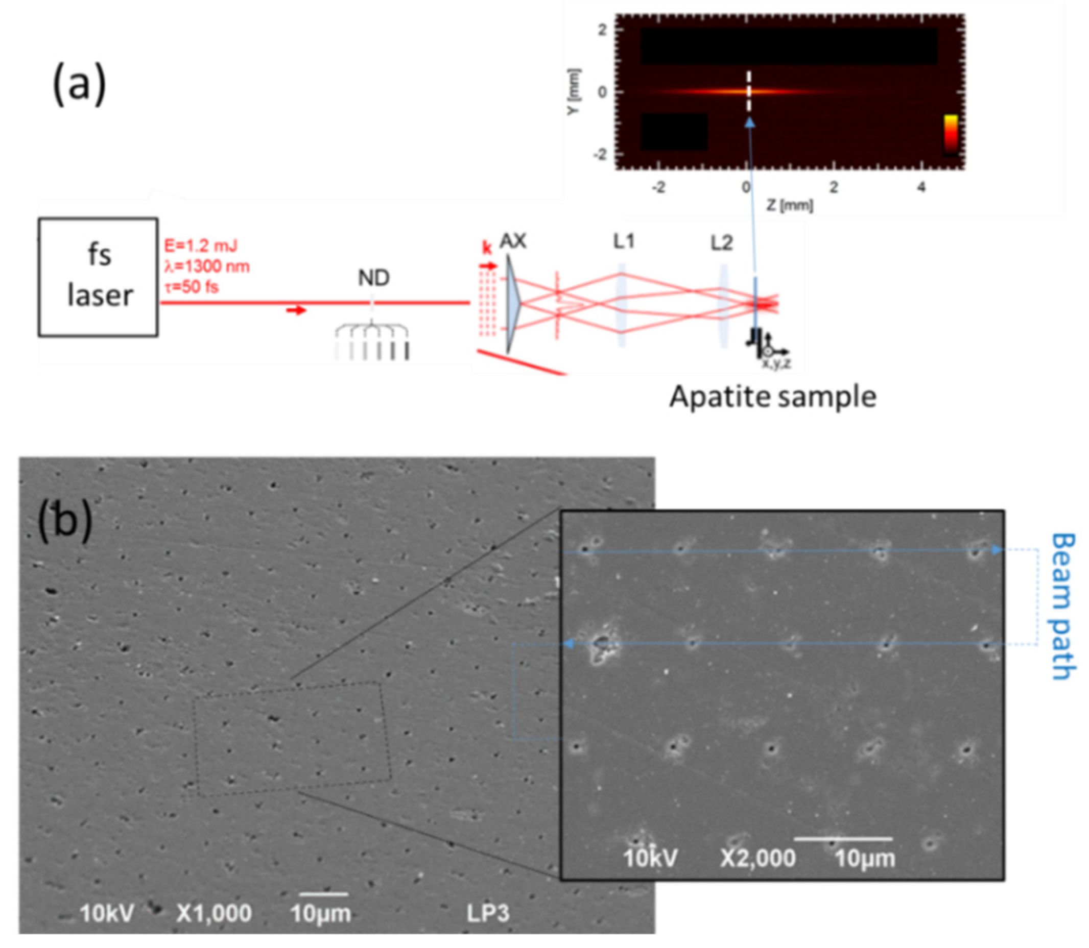 Nanomaterials 11 00712 g005 Nanomaterials 11 00712 g005
