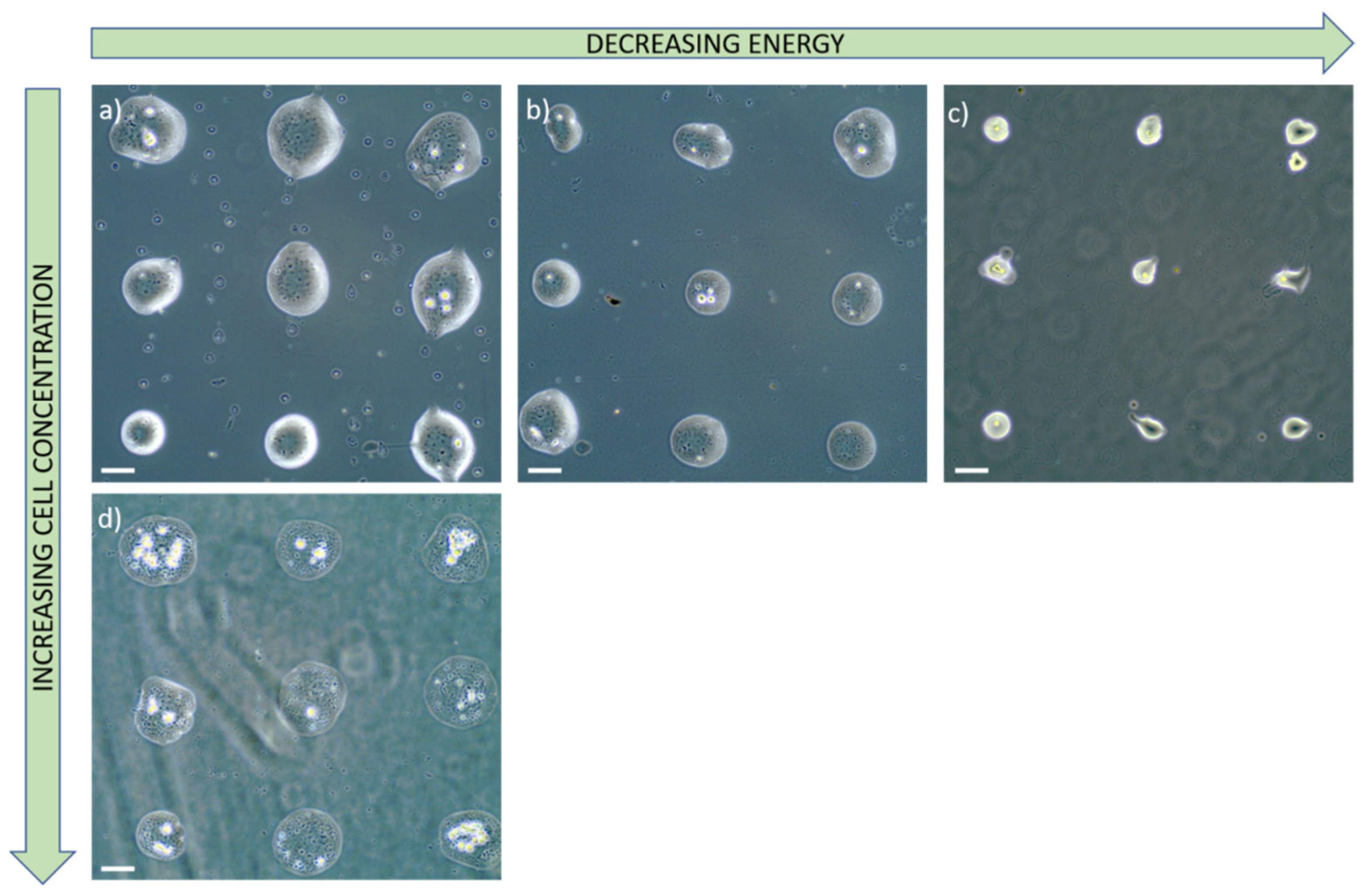 Nanomaterials 11 00712 g011 Nanomaterials 11 00712 g011