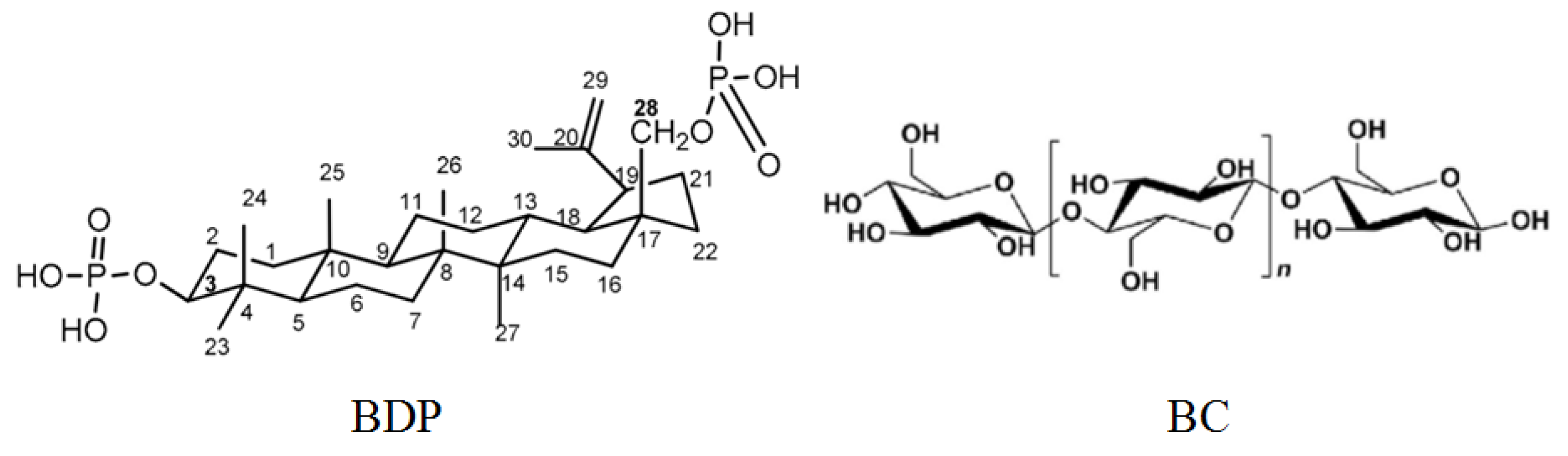 Nanomaterials 11 00713 g008 Nanomaterials 11 00713 g008
