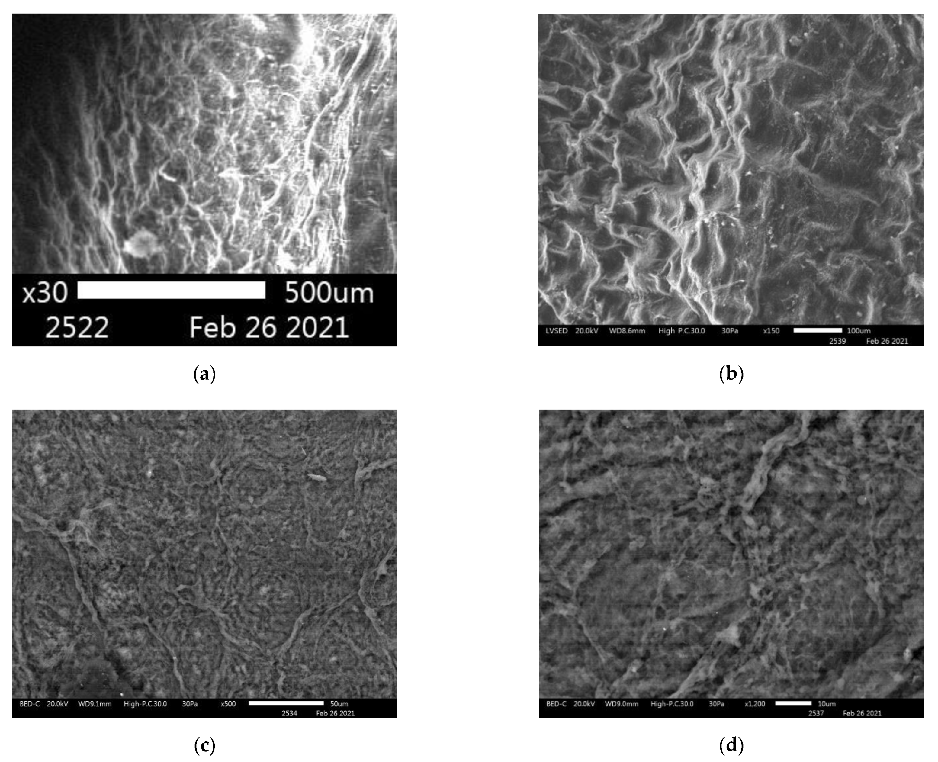 Nanomaterials 11 00713 g009 Nanomaterials 11 00713 g009