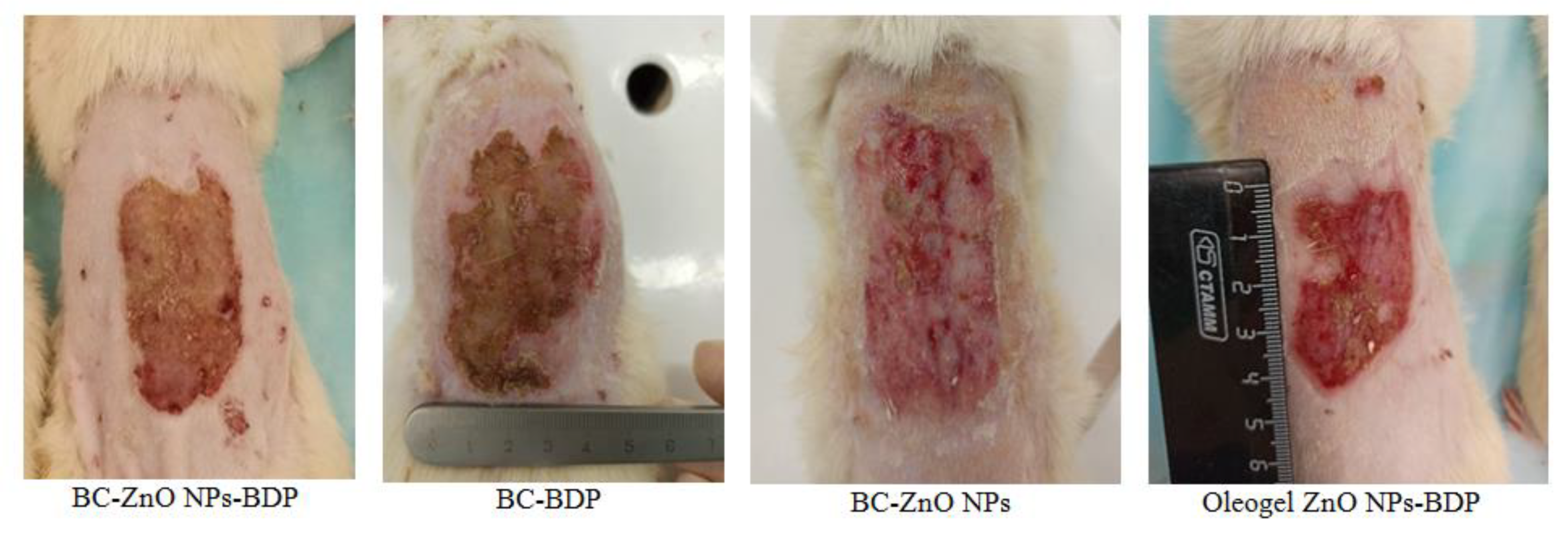Nanomaterials 11 00713 g011 Nanomaterials 11 00713 g011