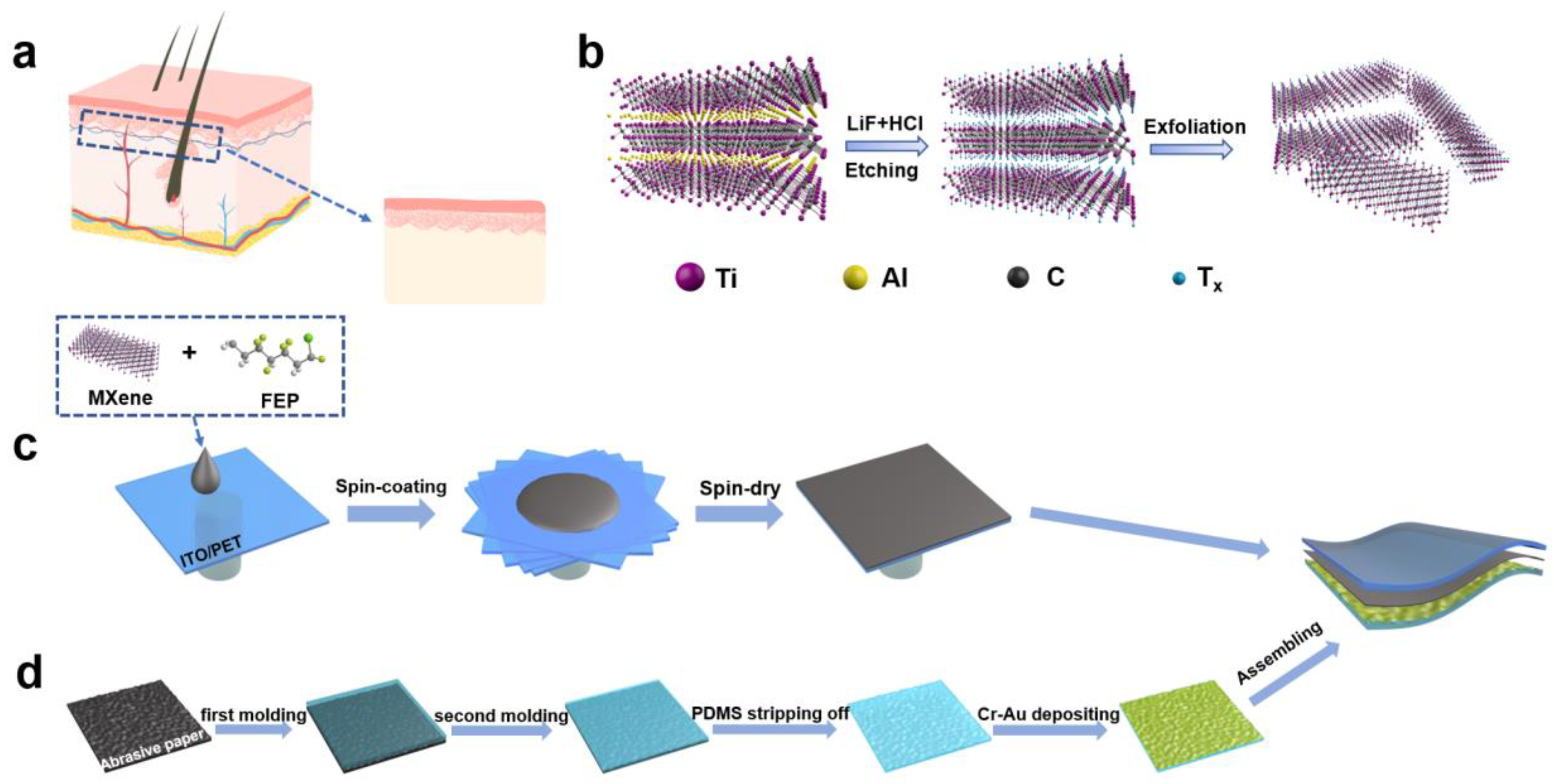 Nanomaterials 11 00716 g001
