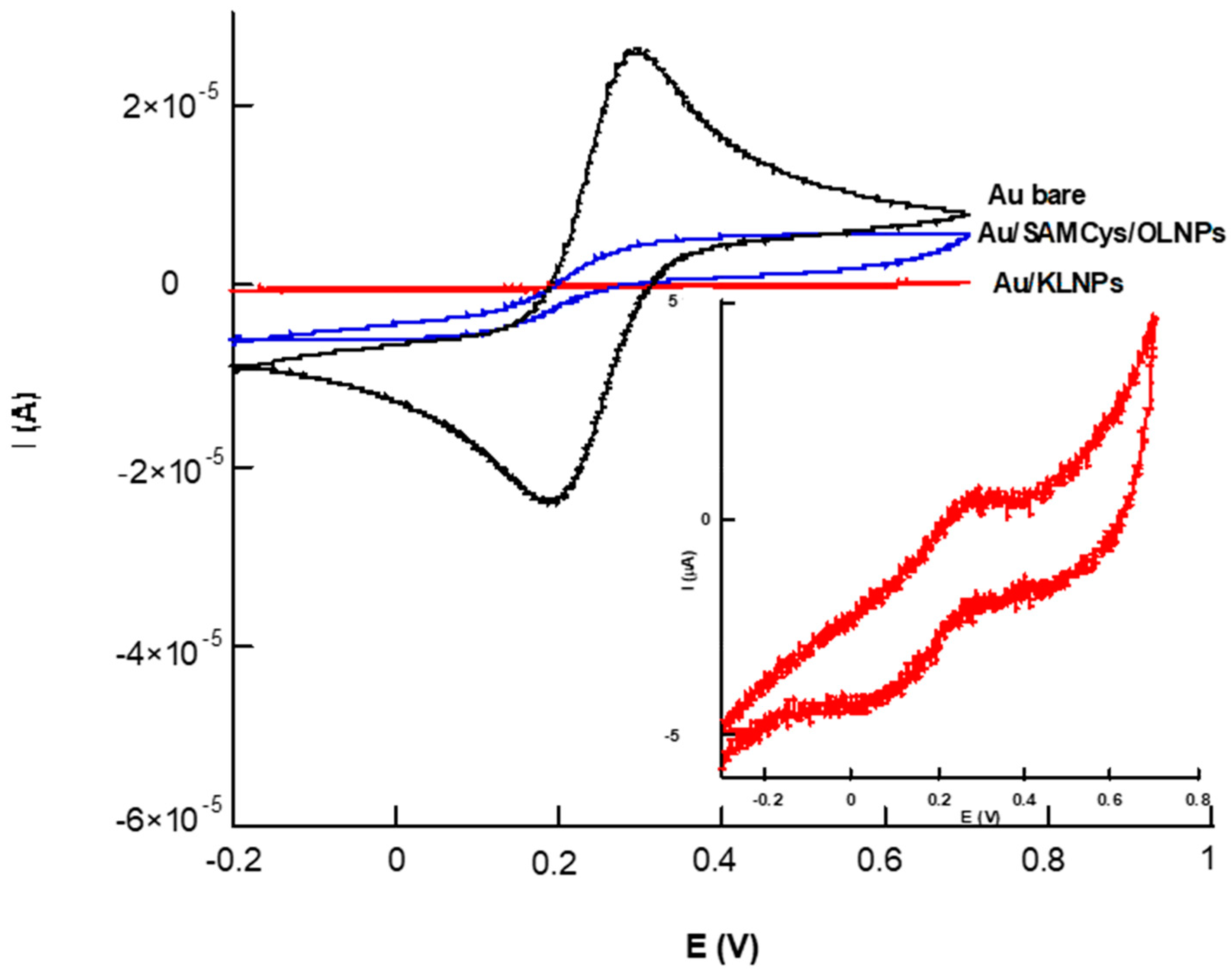 Nanomaterials 11 00718 g002