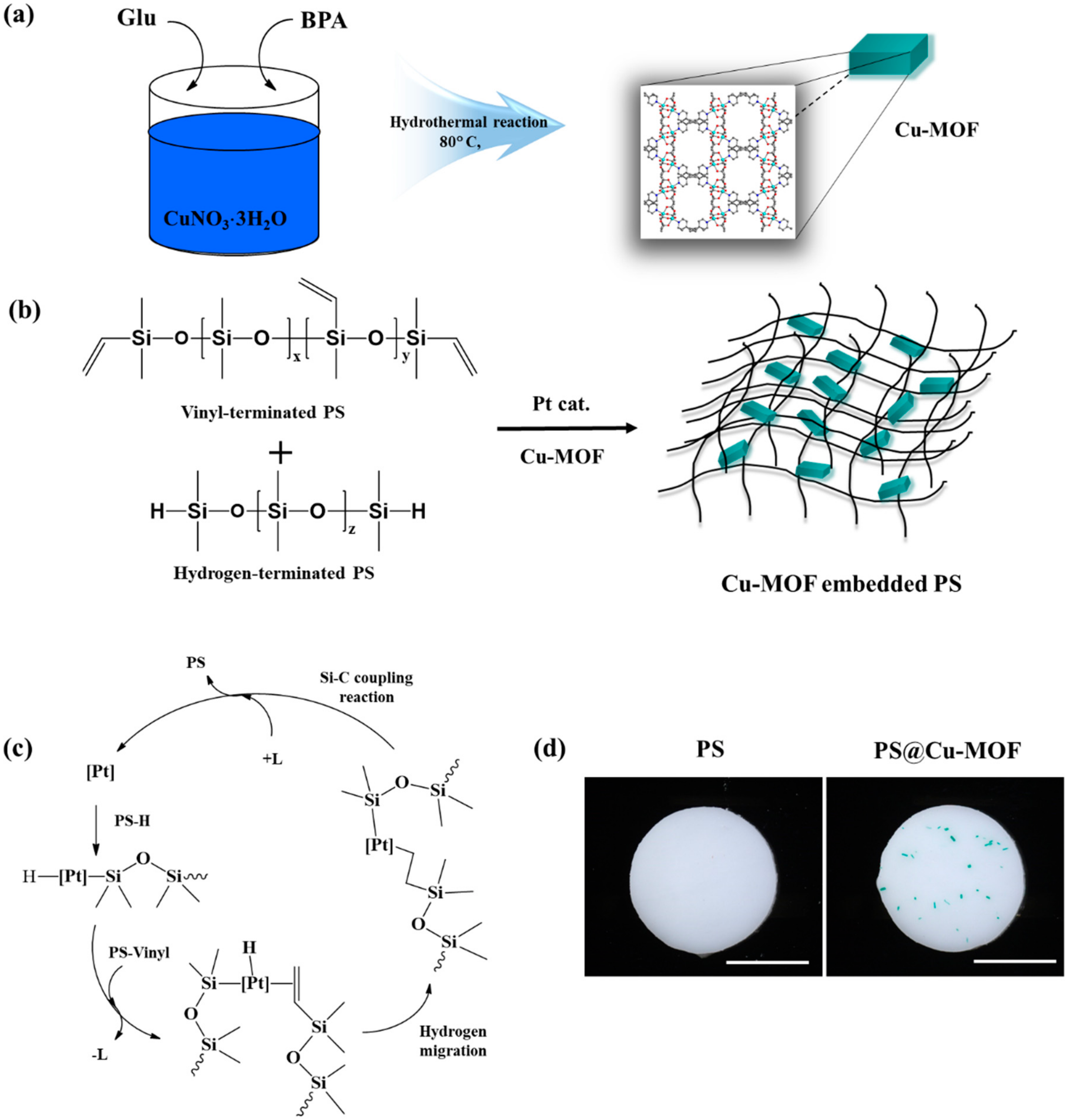 Nanomaterials 11 00719 g001 Nanomaterials 11 00719 g001