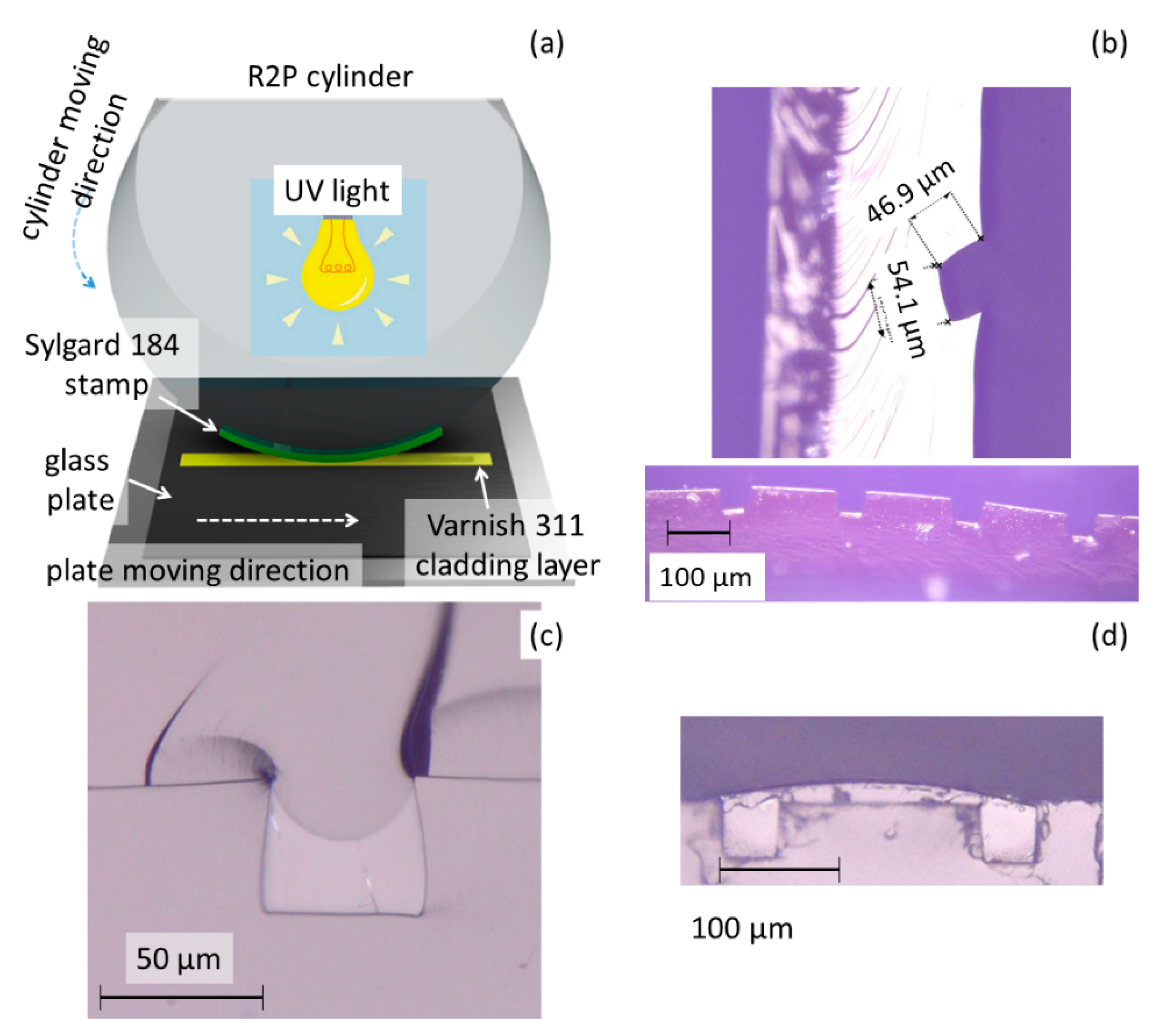 Nanomaterials 11 00724 g003