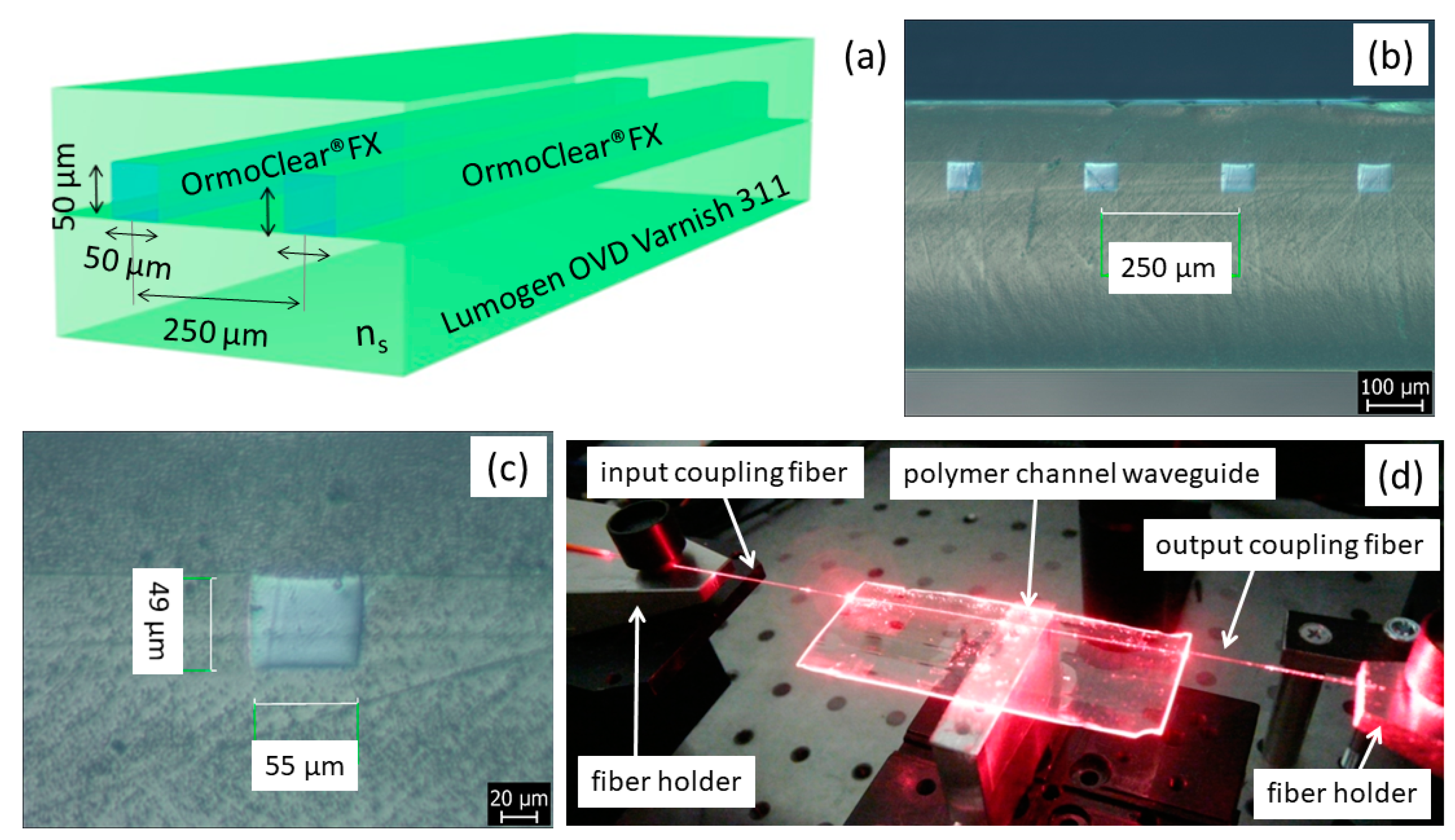 Nanomaterials 11 00724 g006