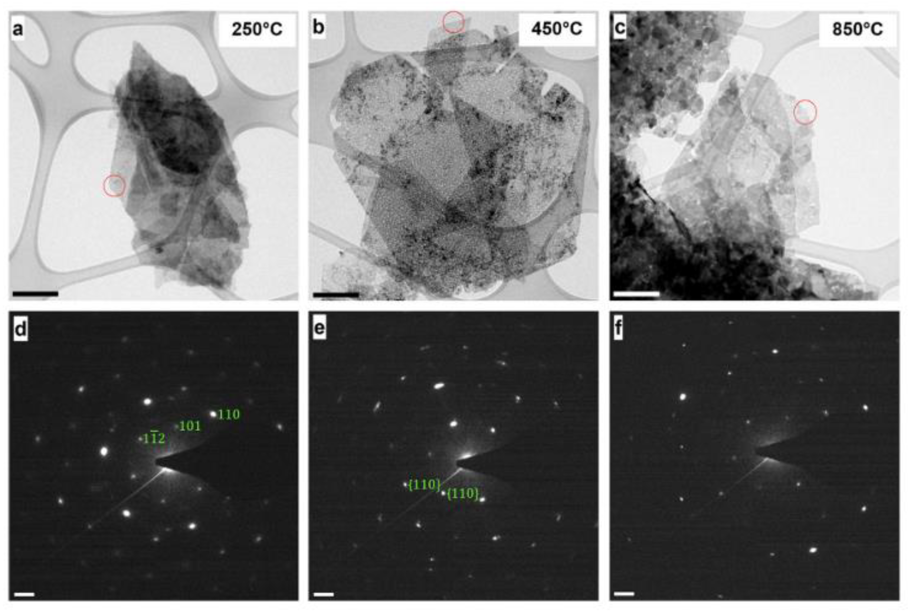 Nanomaterials 11 00725 g002