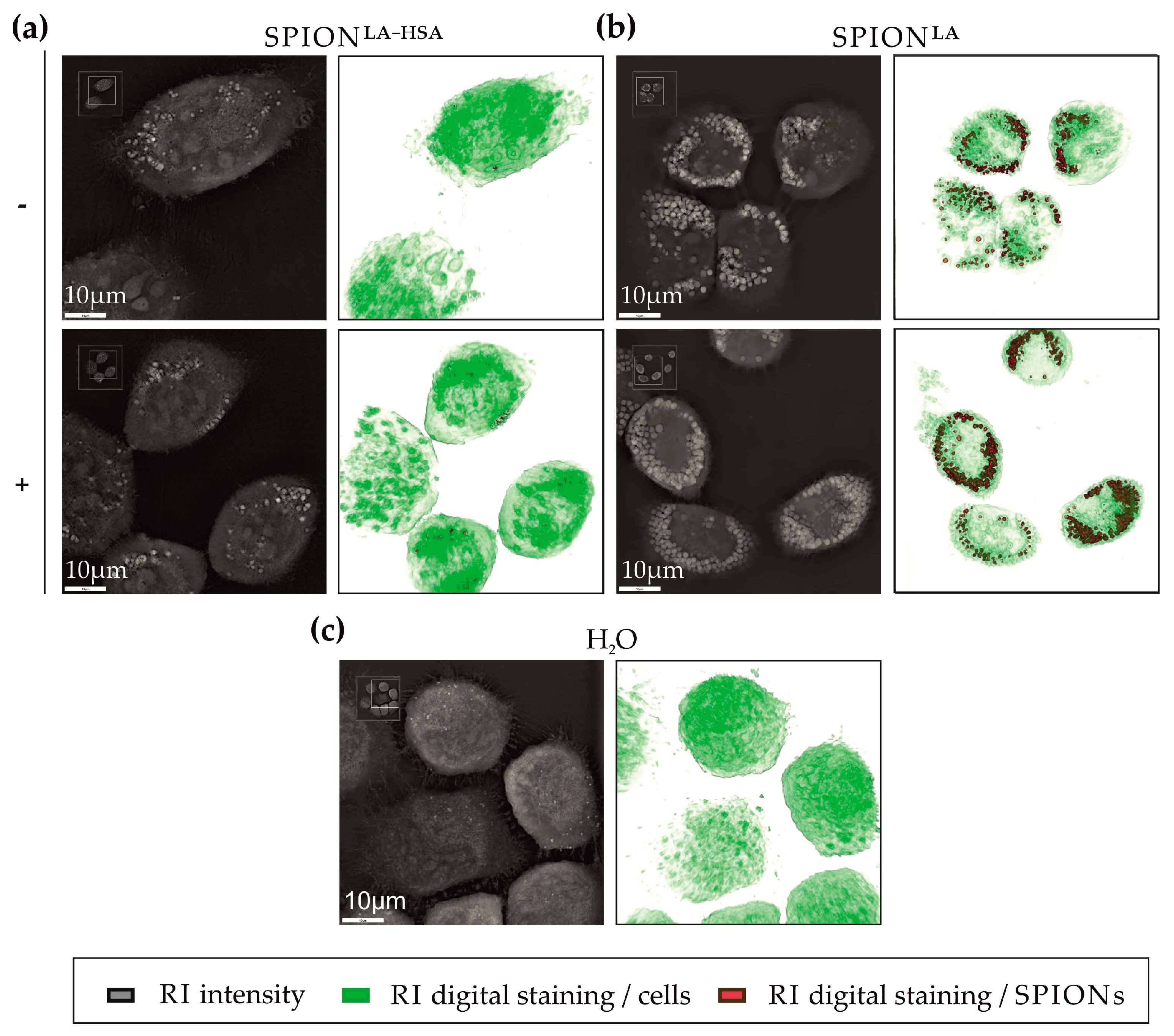 Nanomaterials 11 00726 g002 Nanomaterials 11 00726 g002