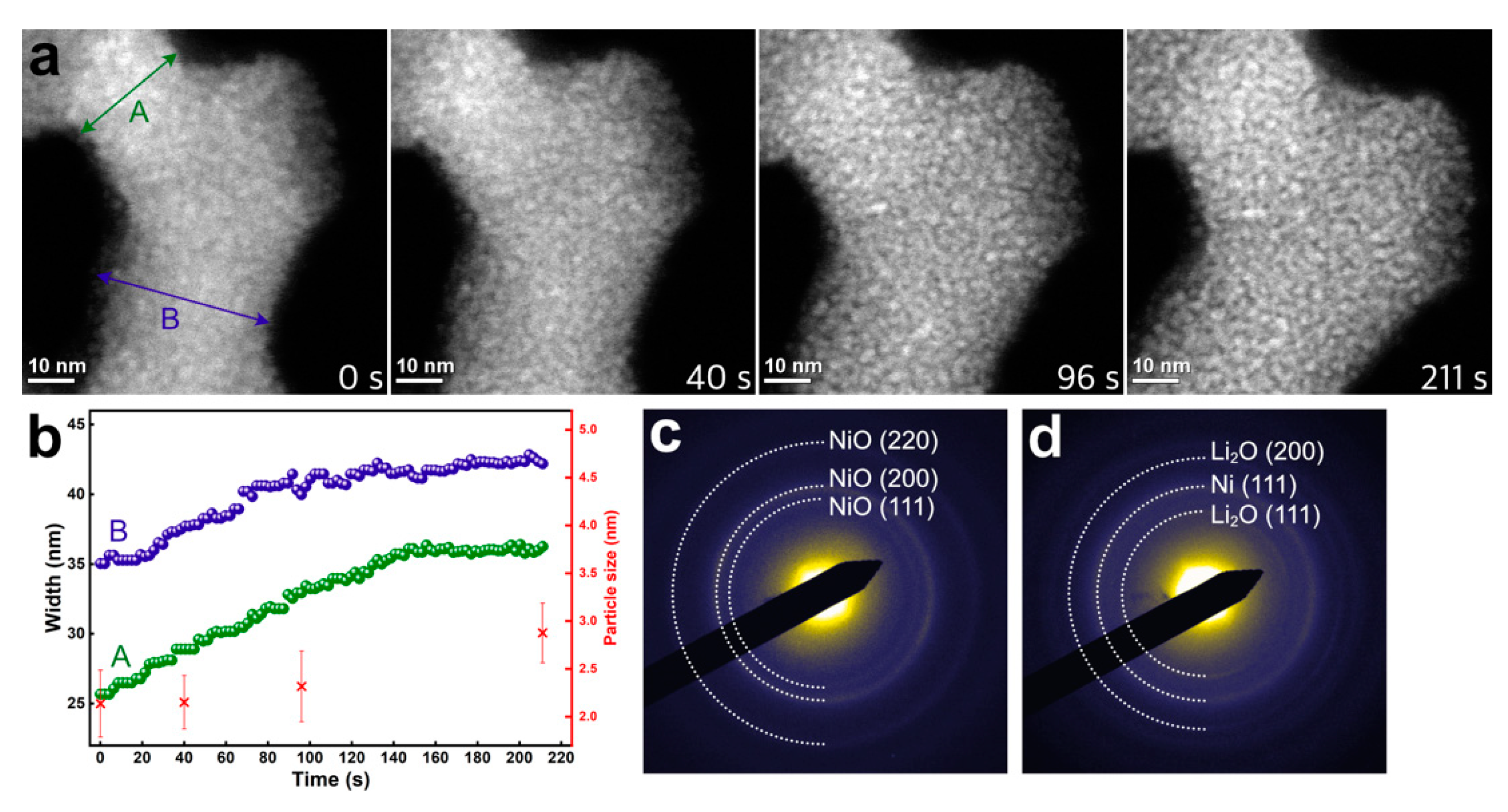 Nanomaterials 11 00728 g002 Nanomaterials 11 00728 g002